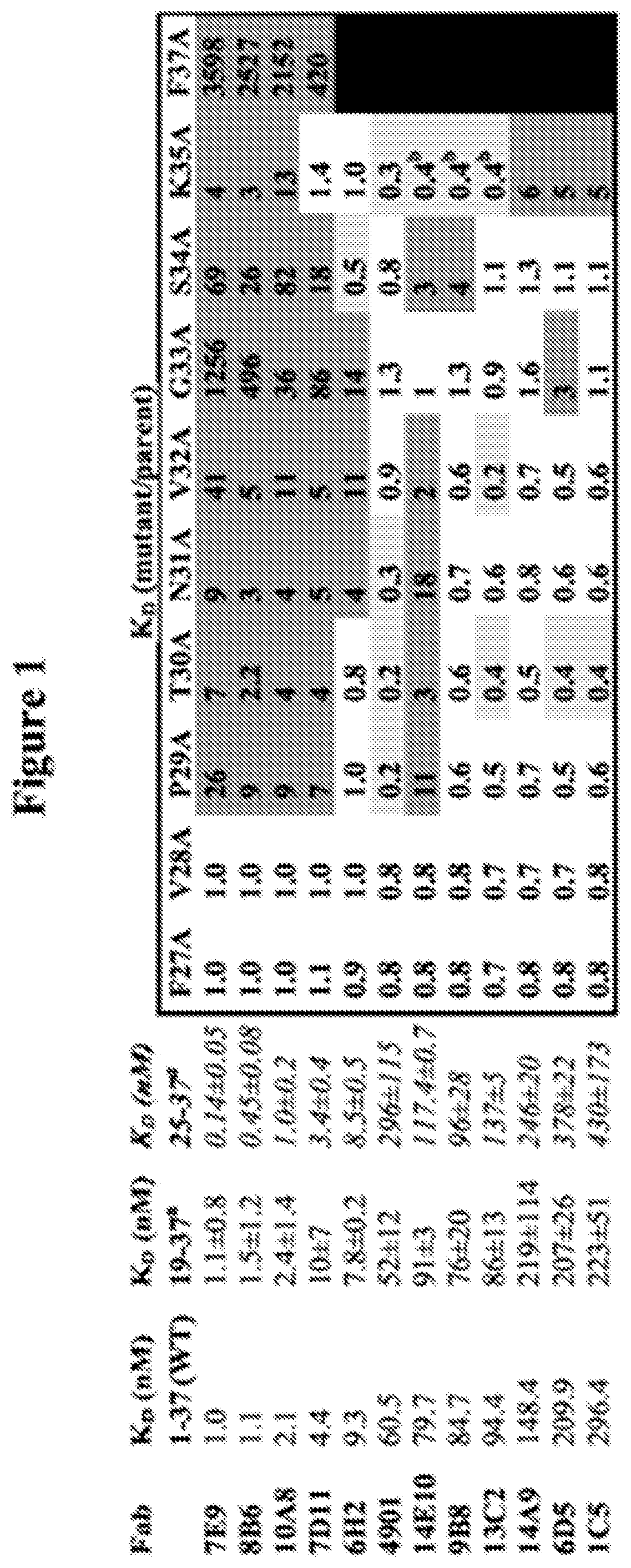 Patent US12139528 — Treating refractory migraine — Figure 1