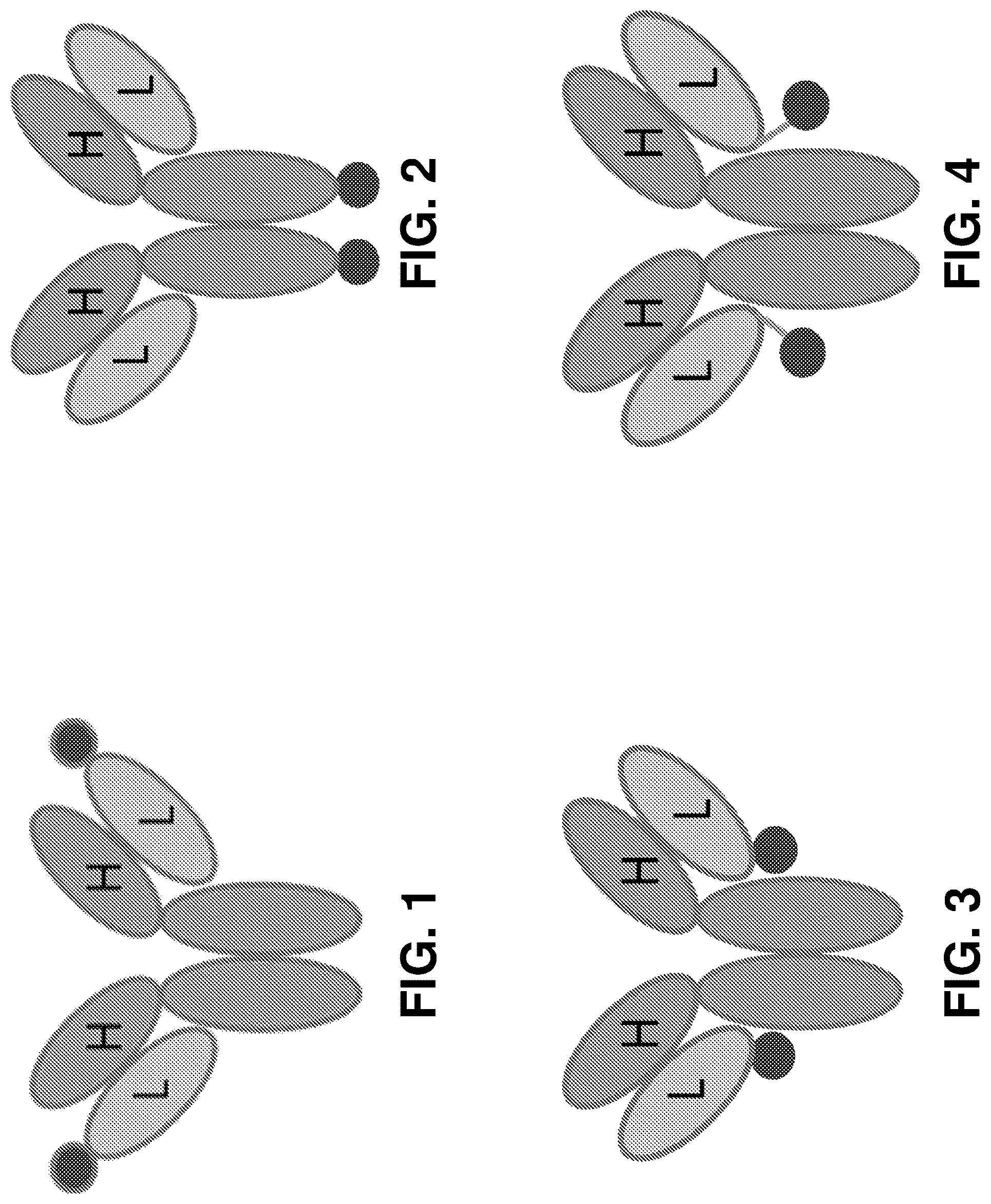 Patent US12139529 — Antibody-peptide fusion proteins for treating amyloid disorders — Figure 1