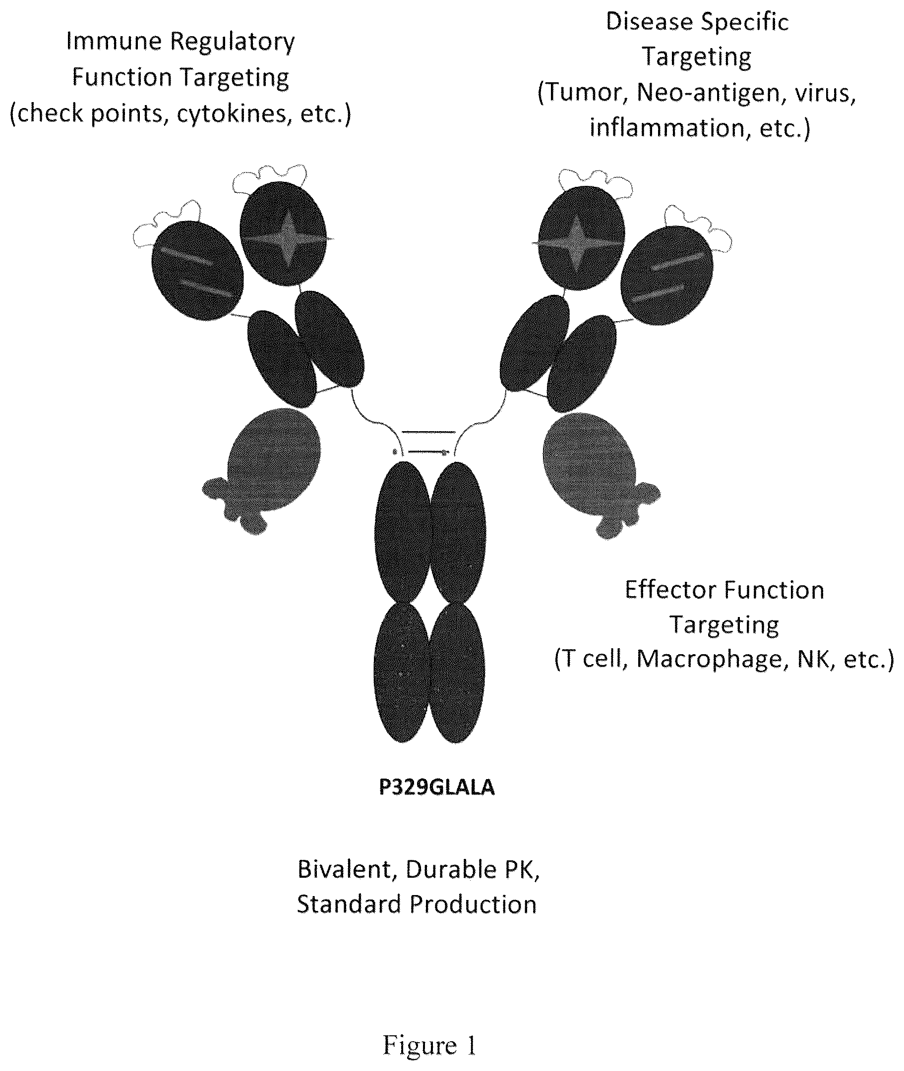 Patent US12139536 Figure 1 – Guided combinational therapeutic antibody