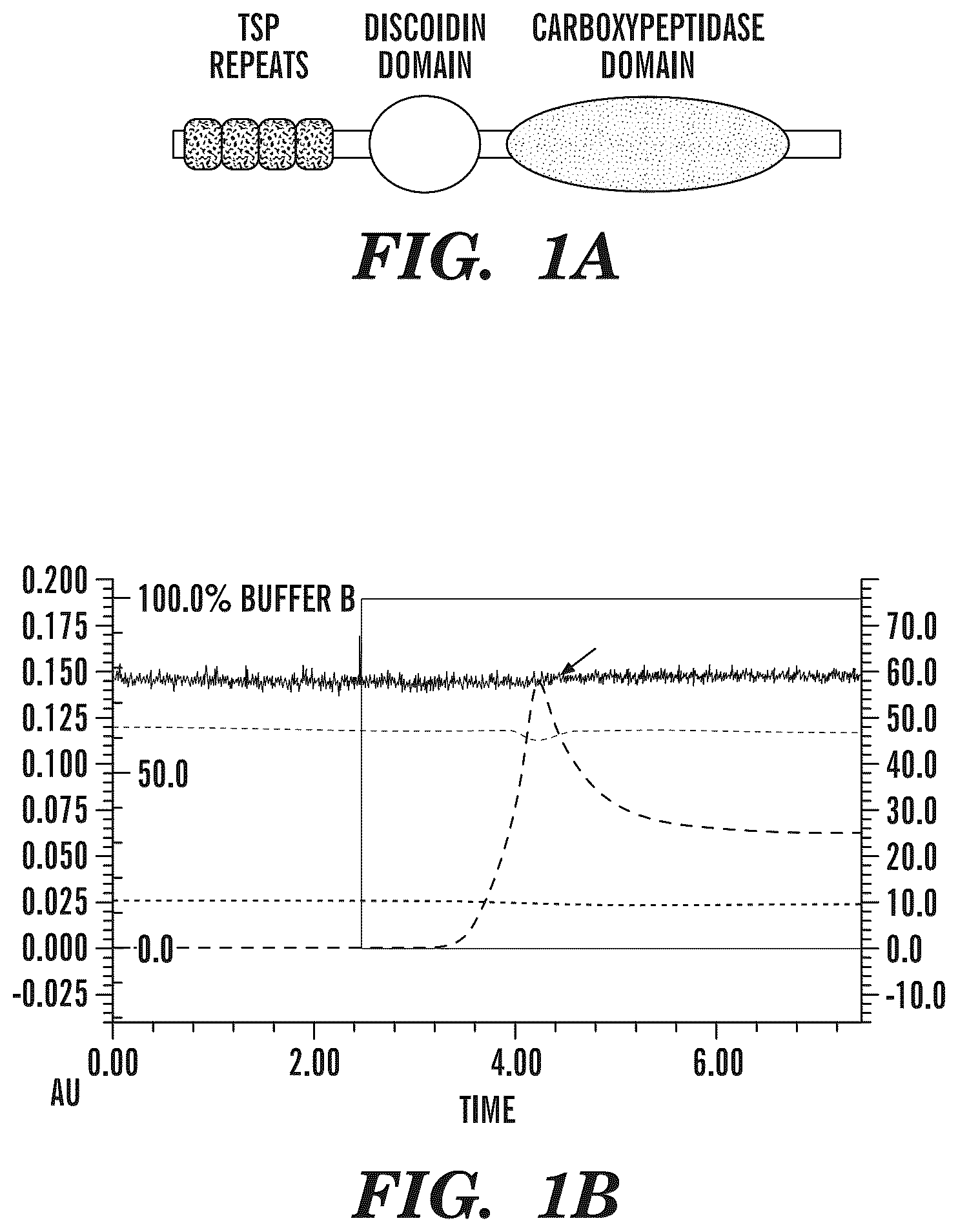 Patent US12139542 — Inhibitors of aortic carboxypeptidase-like protein (ACLP) — Figure 1