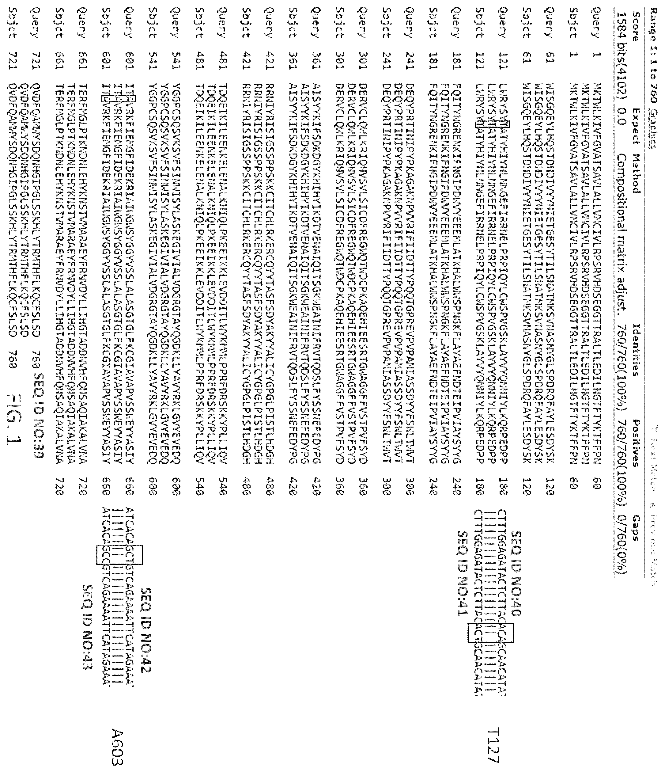 Patent US12139550 — Monoclonal antibody against canine fibroblast activation protein that cross-reacts with mouse and human fibroblast activation protein (FAP) — Figure 1