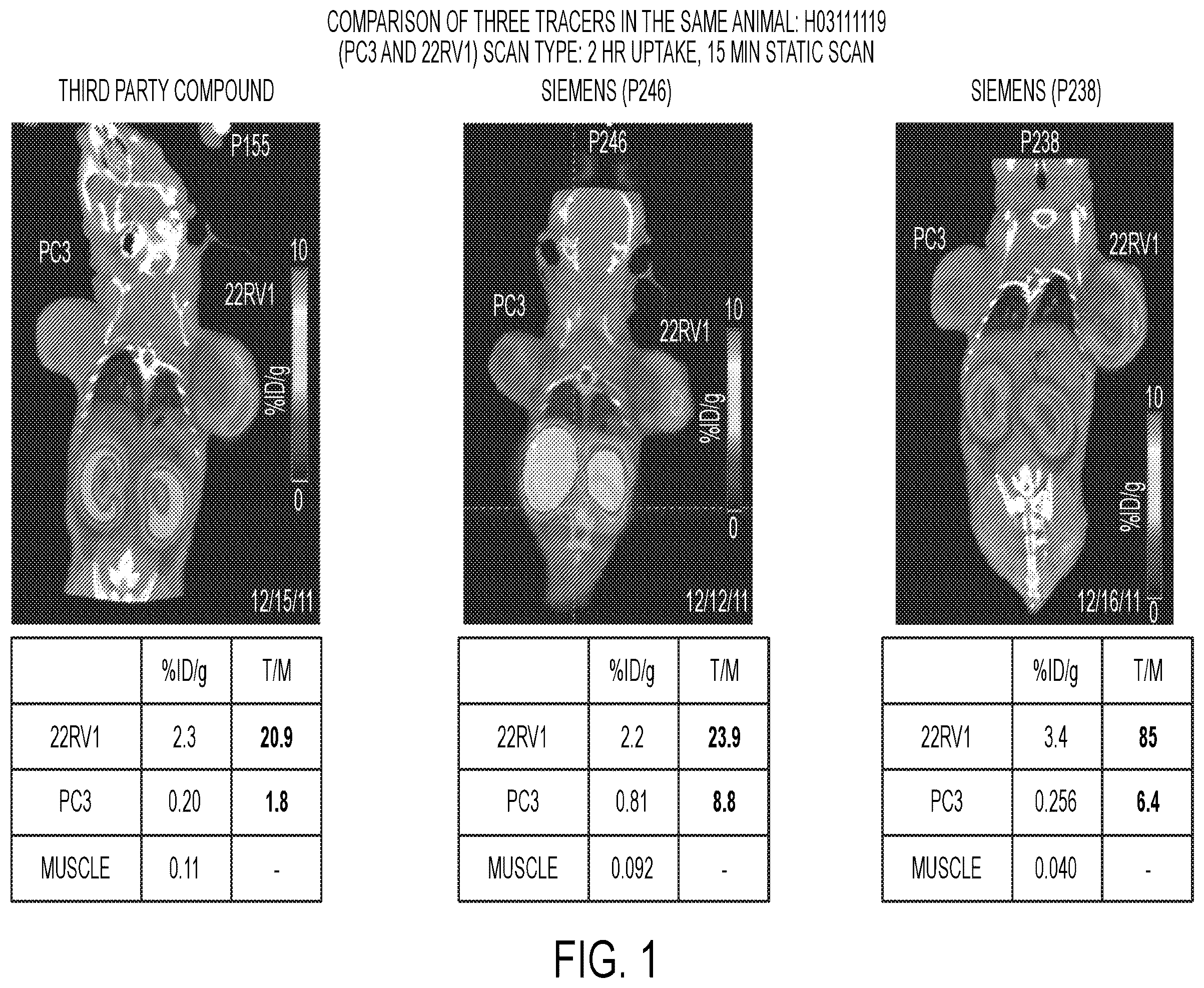 Patent US12139554 — PSMA imaging agents — Figure 1