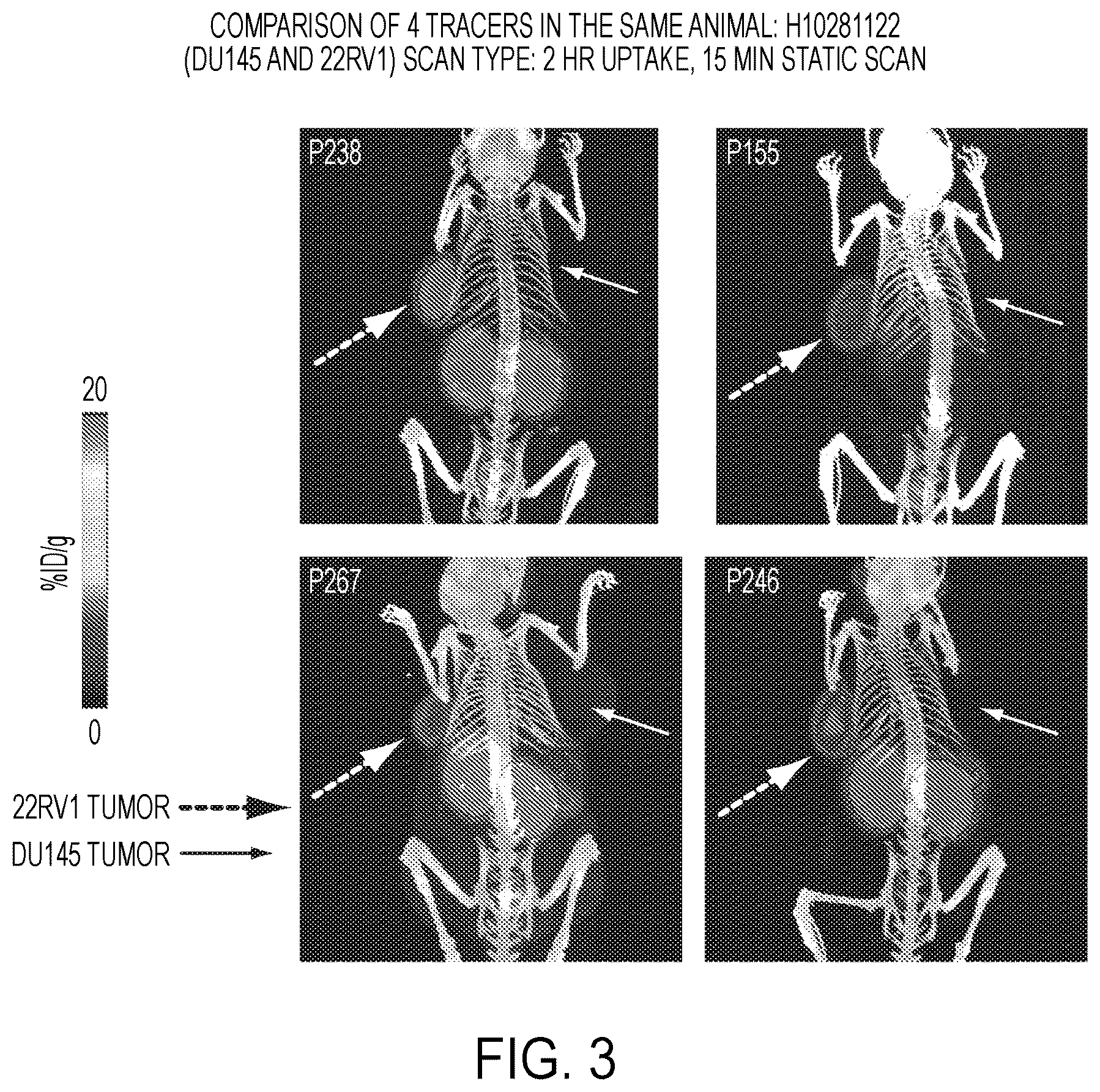 Patent US12139554 Figure 3 – PSMA imaging agents