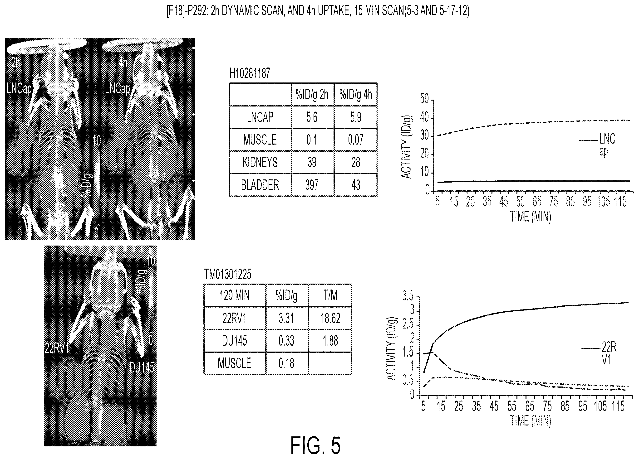 Patent US12139554 Figure 5 – PSMA imaging agents