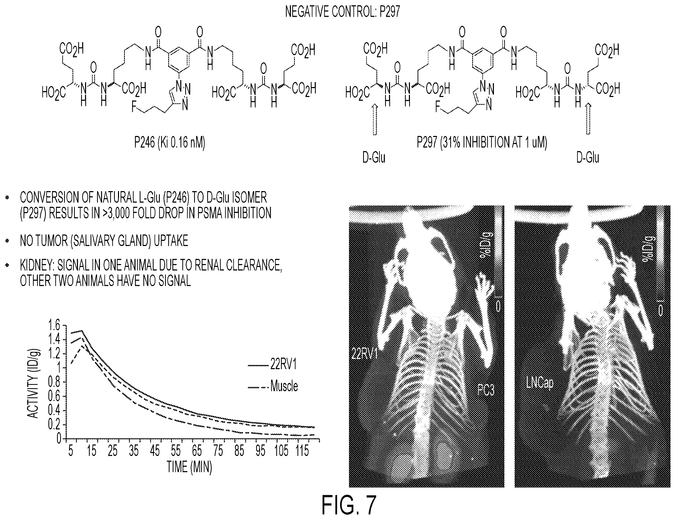 Patent US12139554 Figure 7 – PSMA imaging agents
