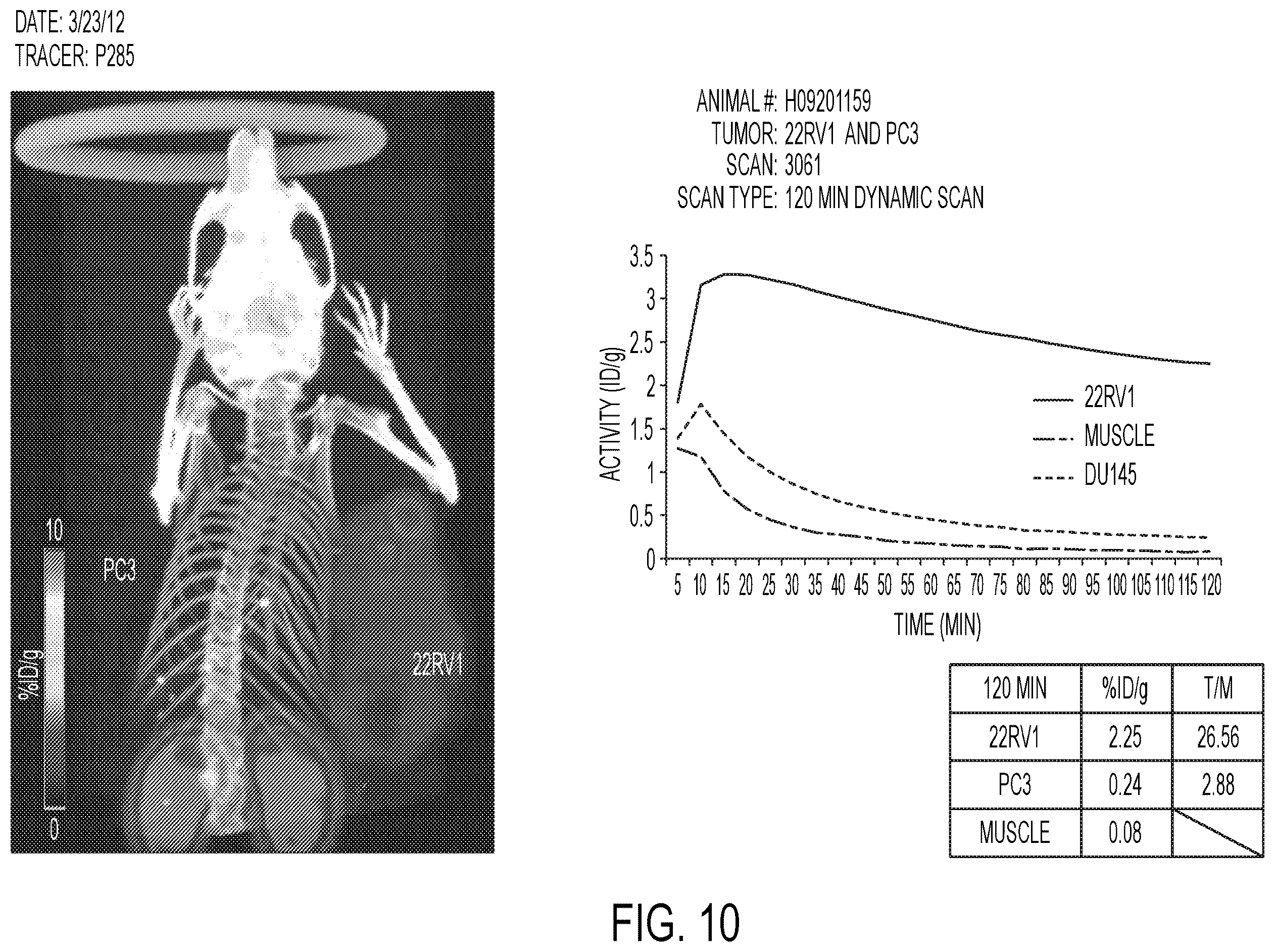 Patent US12139554 Figure 10 – PSMA imaging agents
