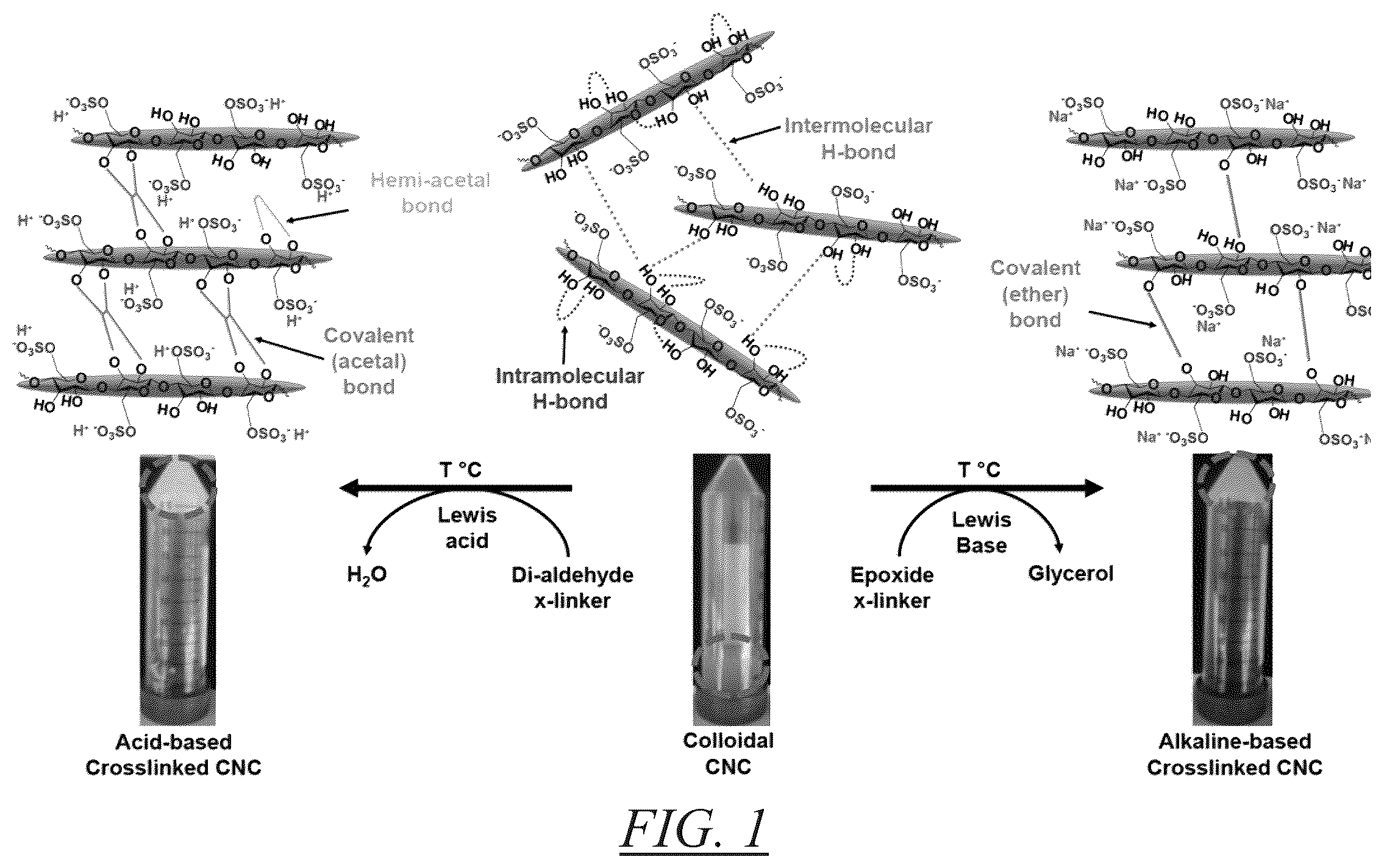 Patent US12139559 Figure 1 – Crosslinked colloidal cellulose nanocrystals and methods of preparation and use thereof