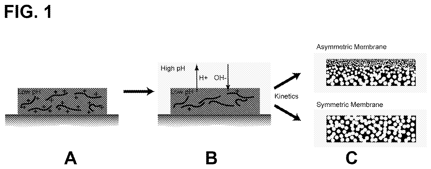 Patent US12139587 — Method for creating a porous film through aqueous phase separation — Figure 1