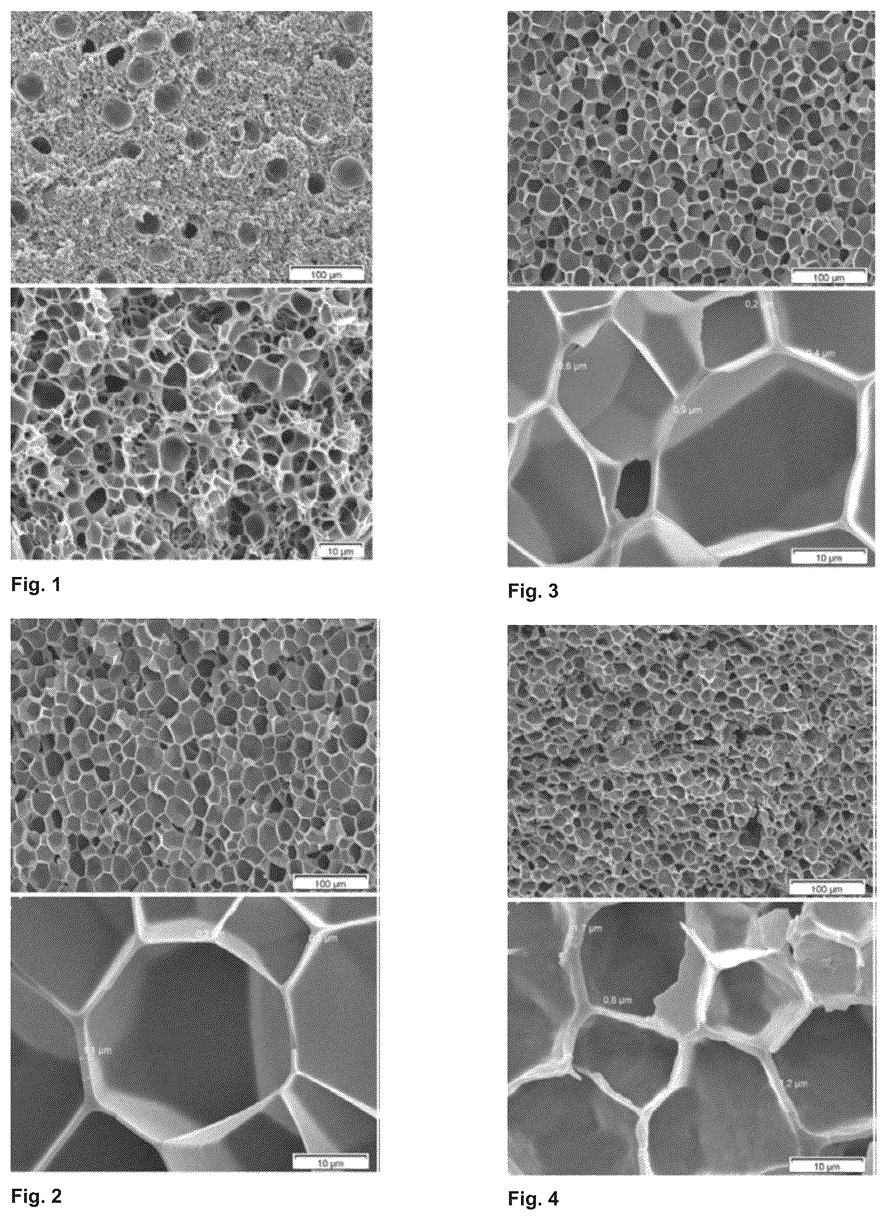 Patent US12139605 — Polyether block amide-poly(meth)acrylate foams — Figure 1