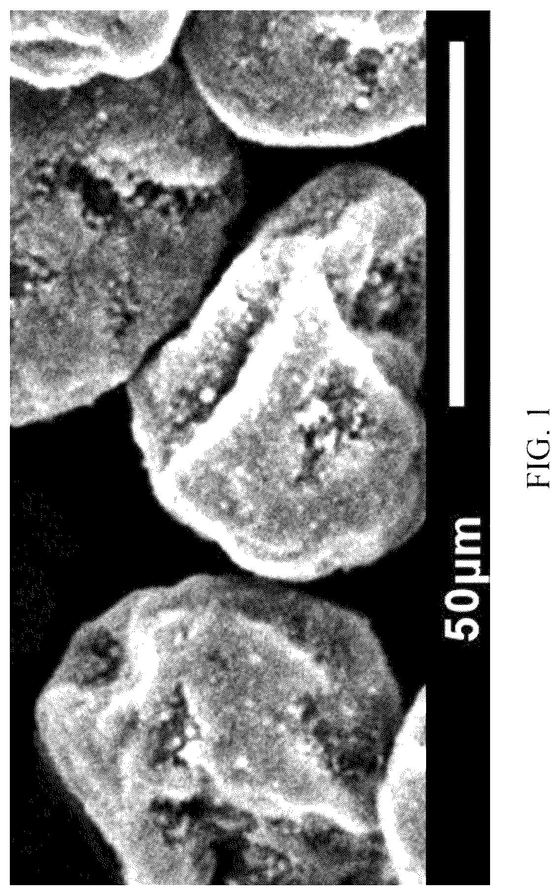 Patent US12139611 Figure 1 – High molecular polymer powder material and preparation method thereof