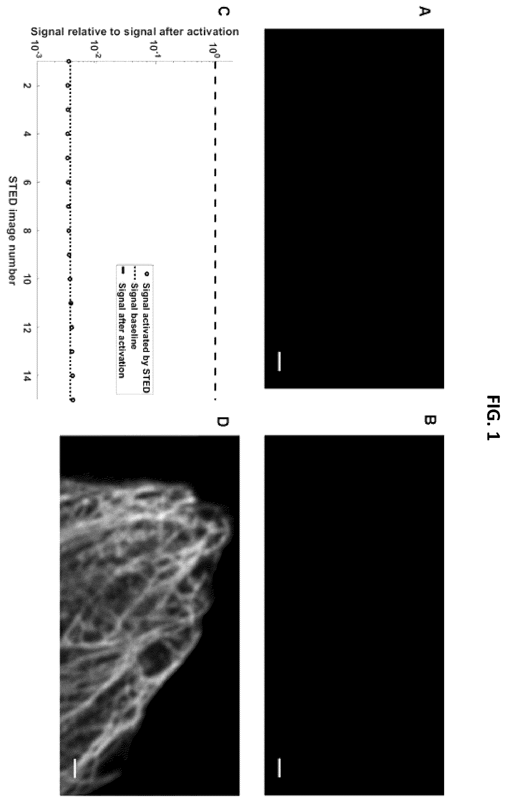 Patent US12139614 — Photoactivatable fluorescent dyes with hydrophilic caging groups and their use — Figure 1