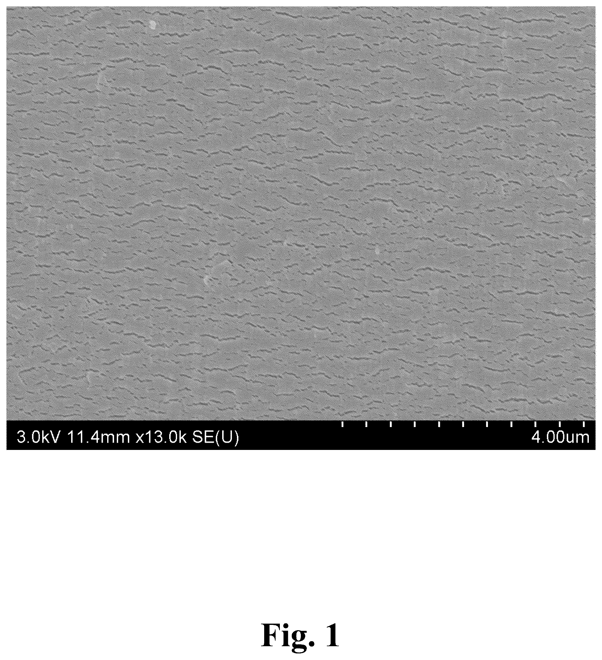 Patent US12139650 — Method for nano-depth surface activation of PTFE-based membrane — Figure 1