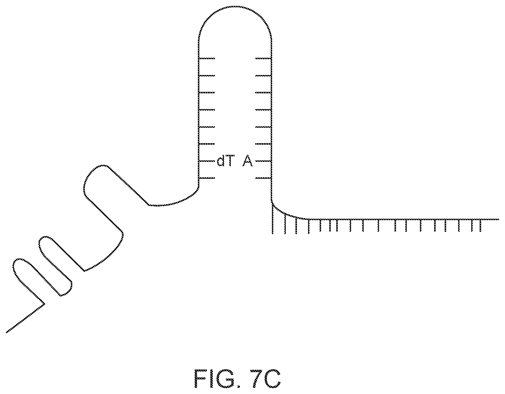 Patent US12139707 Figure 9 – Stabilized CRISPR complexes