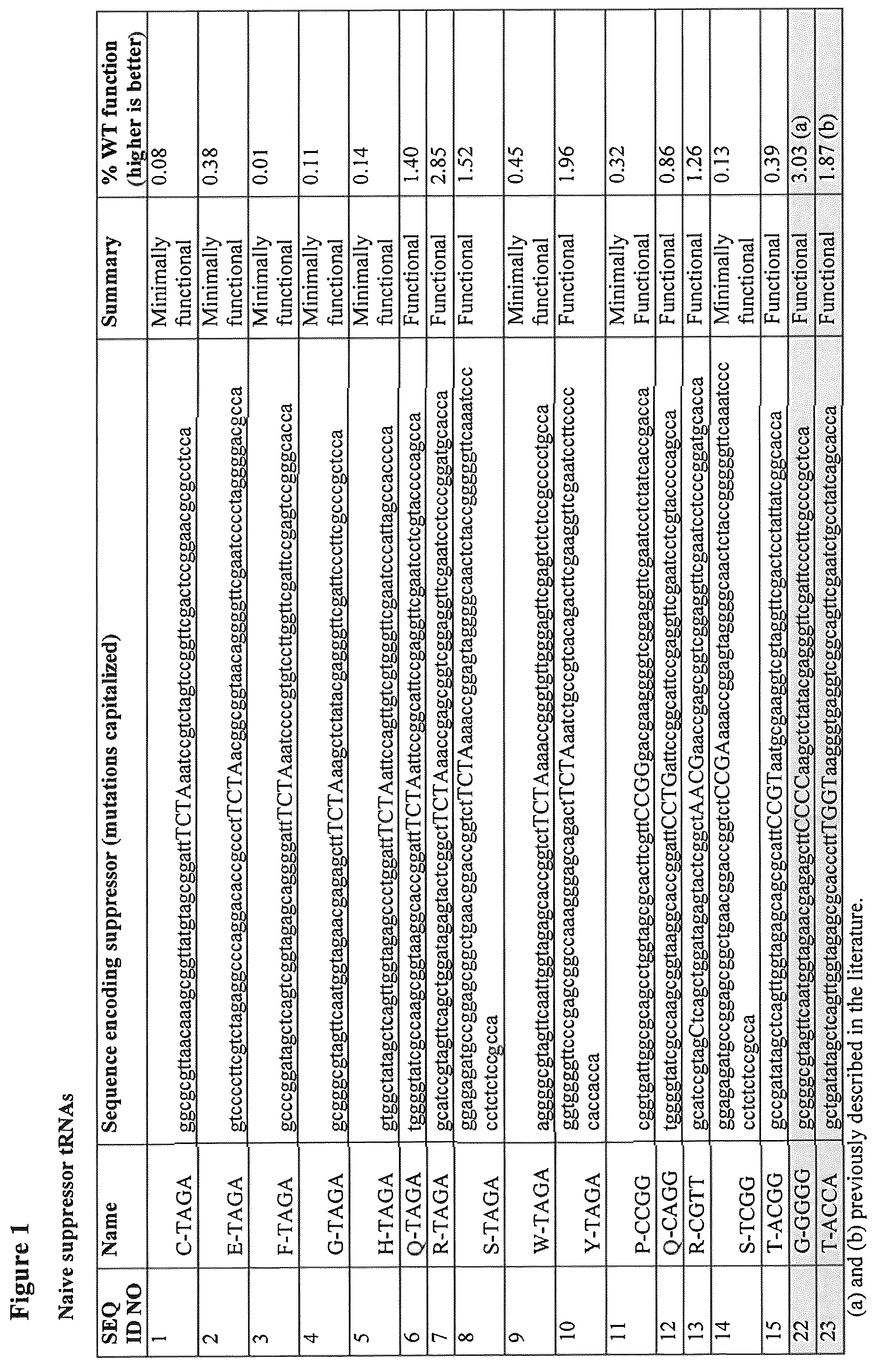 Patent US12139708 Figure 1 – Frameshift suppressor tRNA compositions and methods of use