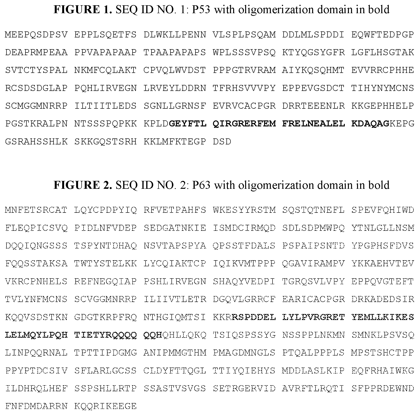 Patent US12139714 — P53, P63, and P73 homo-tetrameric compositions — Figure 1