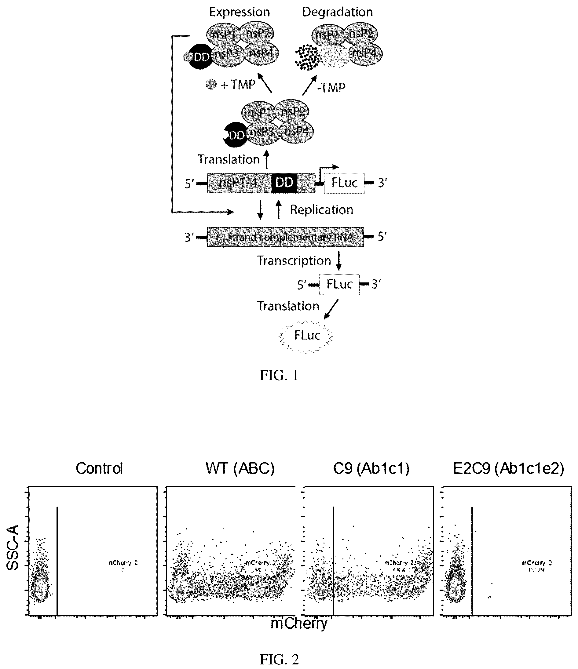 Patent US12139721 — Control of replication and transcription of self-replicating RNA in response to small molecules — Figure 1