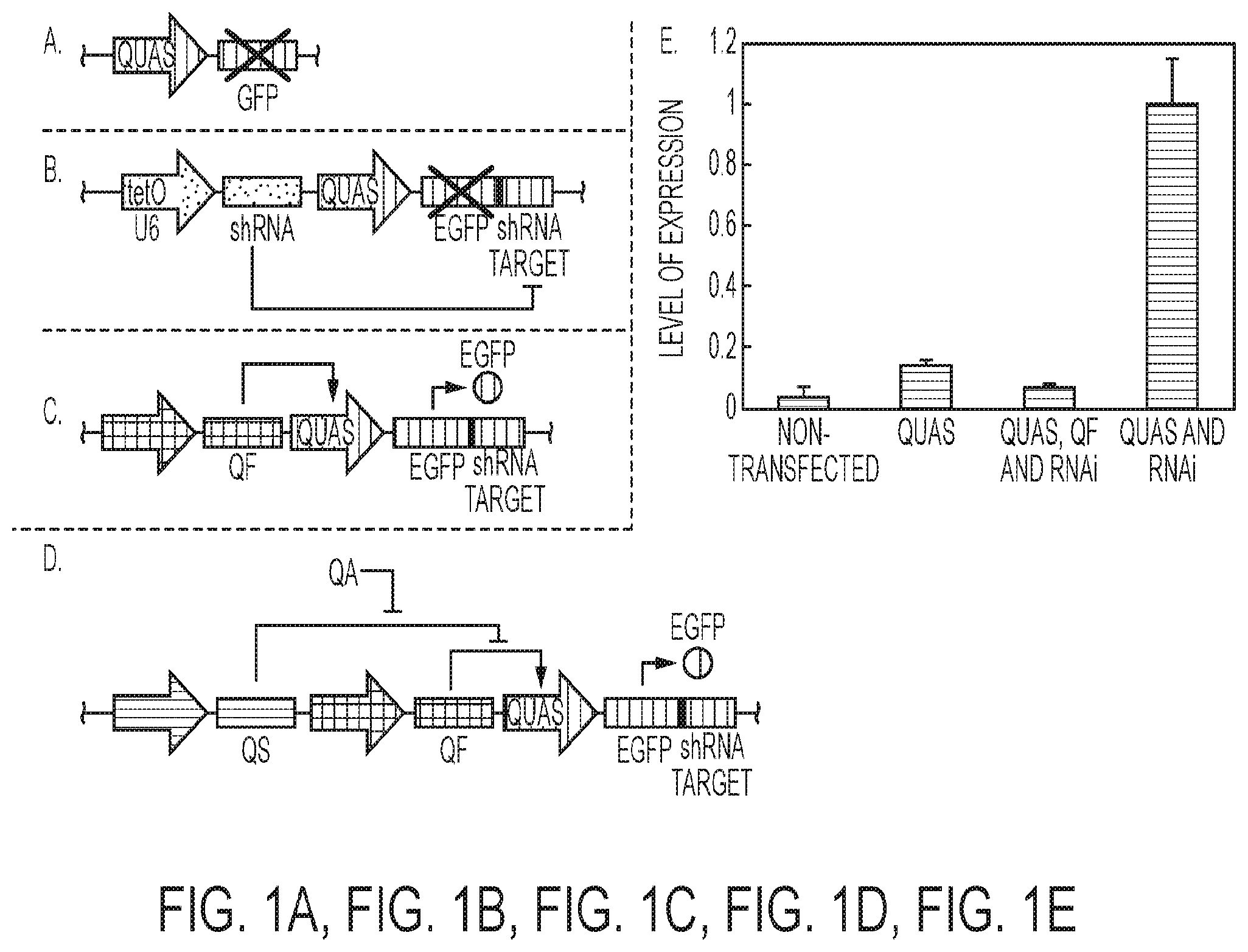 Patent US12139724 Figure 1 – Methods of making red blood cells and platelets in vitro and uses thereof