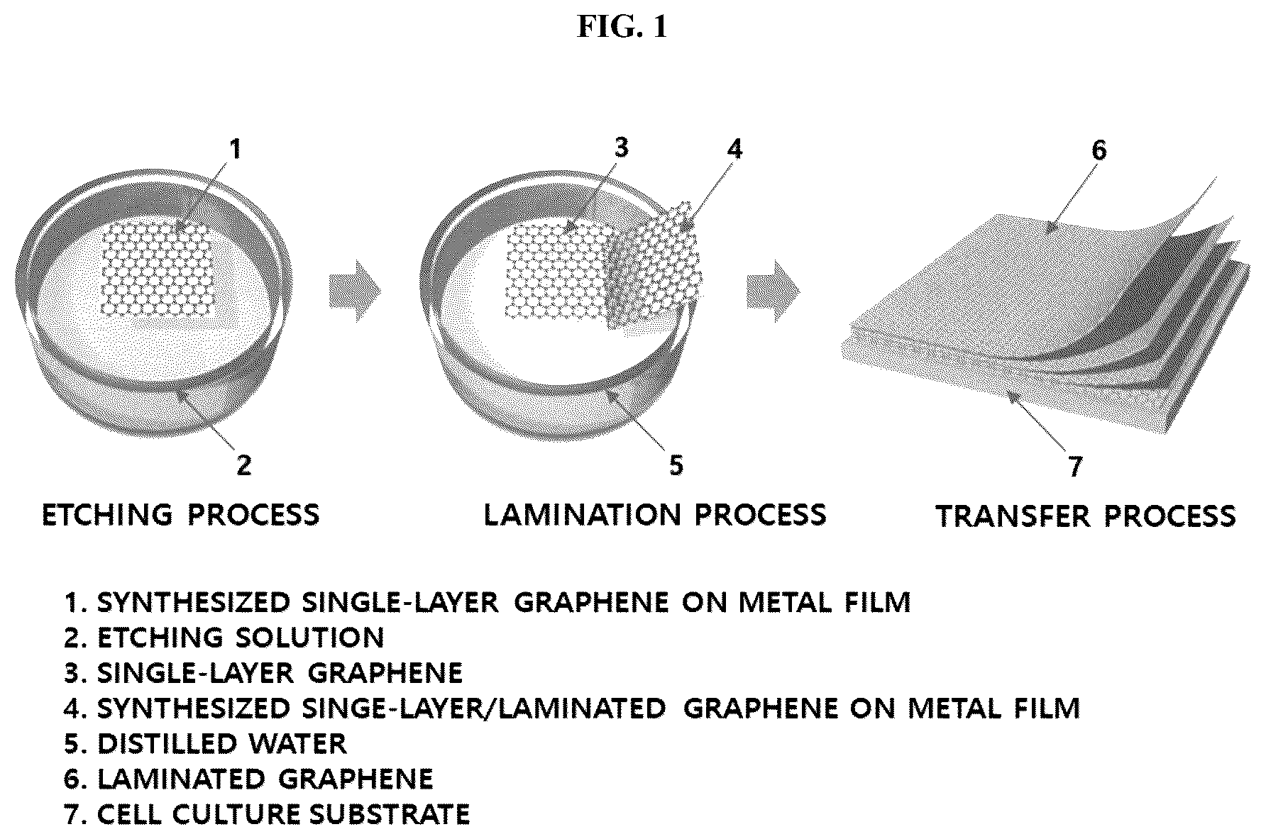 Patent US12139725 — Composition for promoting stem cell differentiation, comprising progenitor cell culture solution and multilayer graphene film, and use thereof — Figure 1