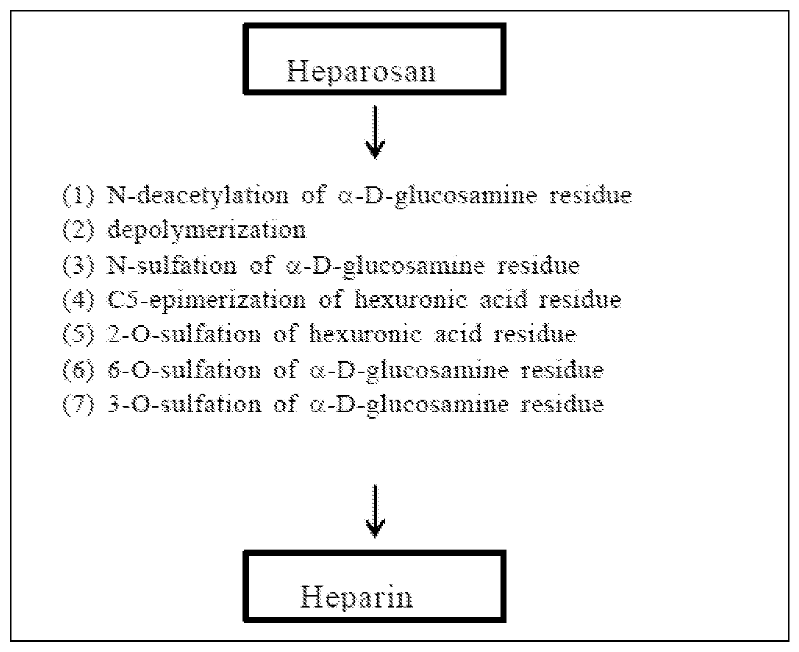 Patent US12139728 Figure 1 – 2-O-sulfation enzyme mutant and 3-O-sulfation enzyme mutant, and method for using same