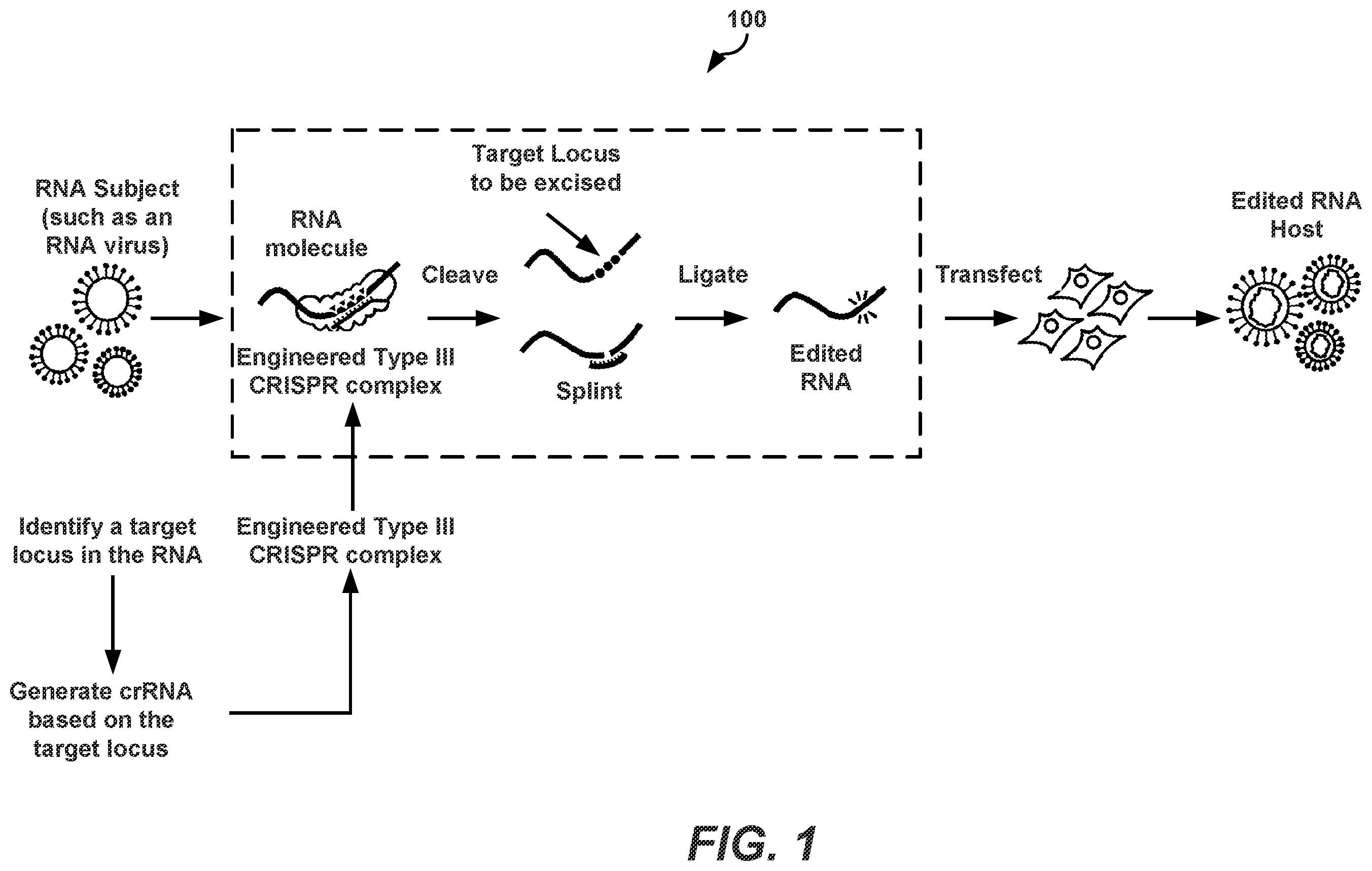 Patent US12139731 Figure 1 – CRISPR-based programmable RNA editing