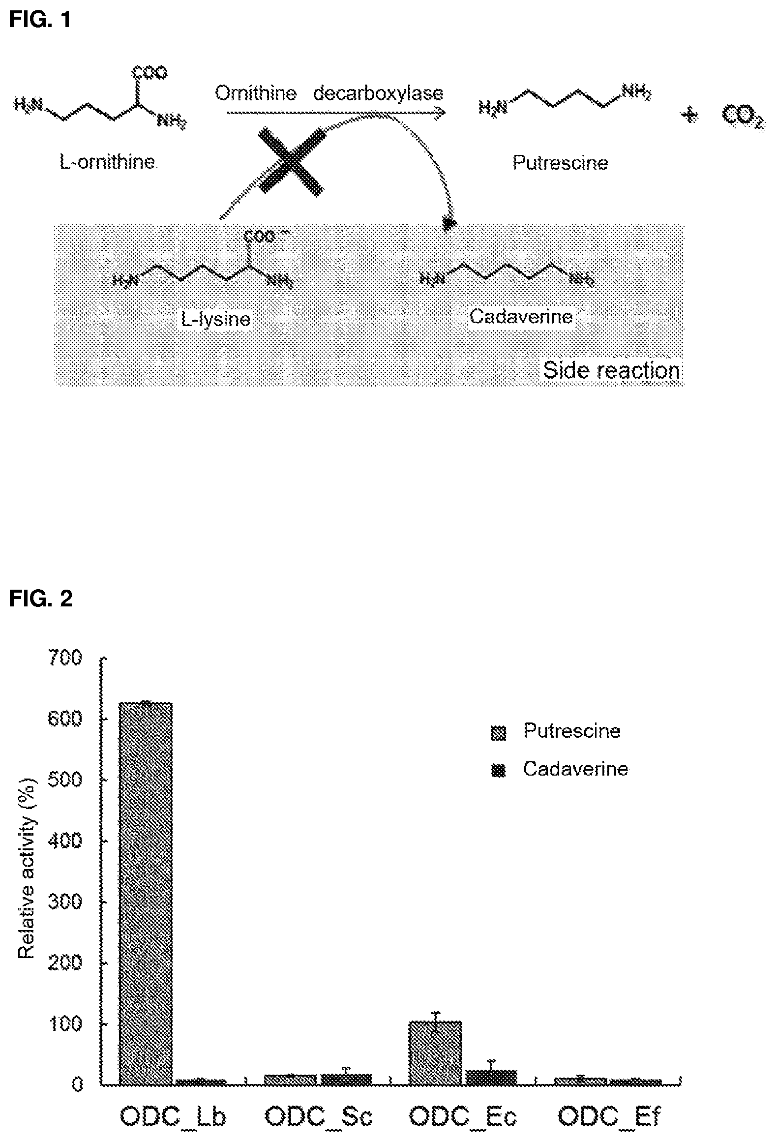 Patent US12139733 — Ornithine decarboxylase variant and method for producing putrescine by using same — Figure 1