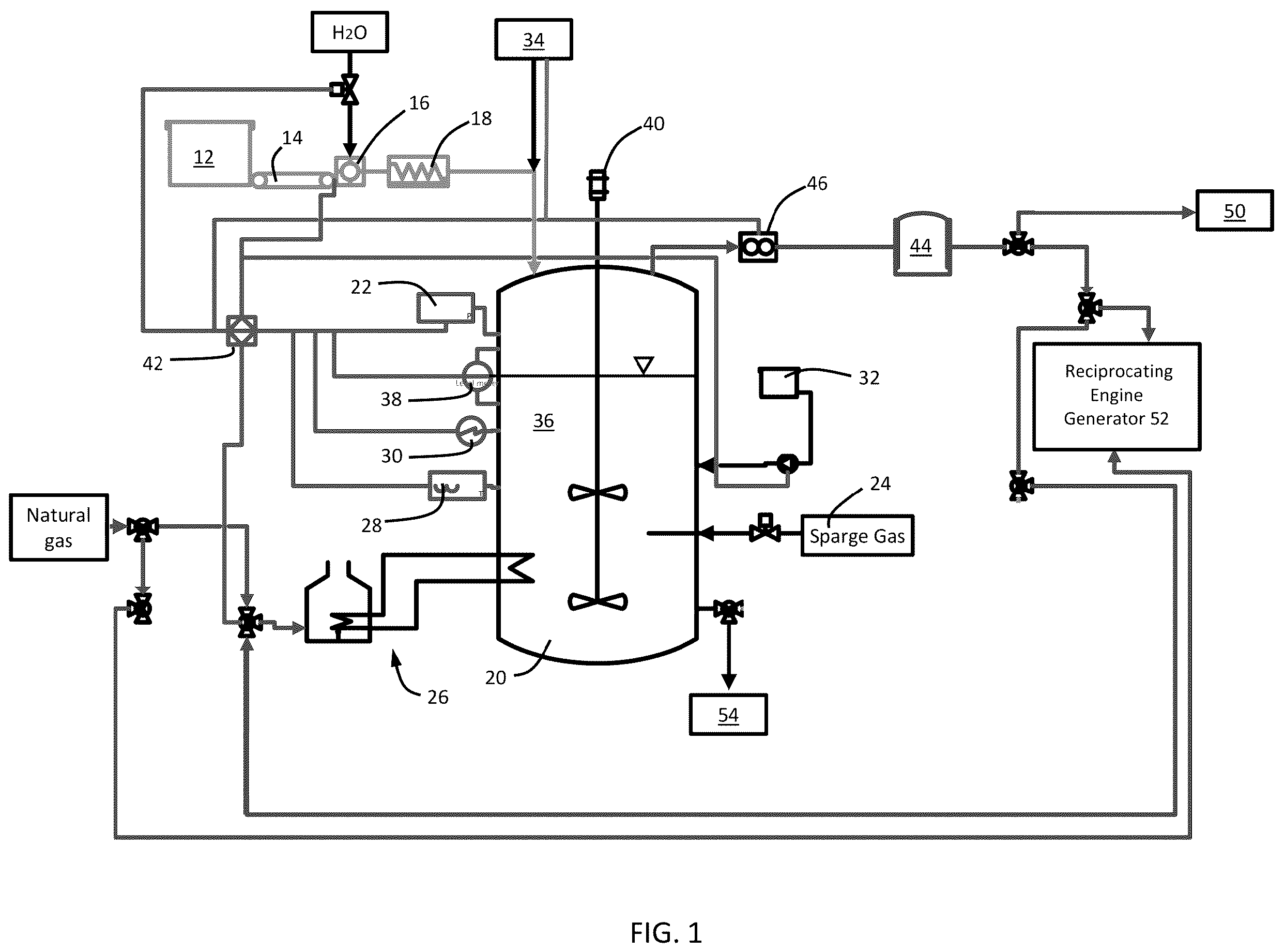 Patent US12139738 — Processes and systems for biological hydrogen production from organic waste using yeast — Figure 1