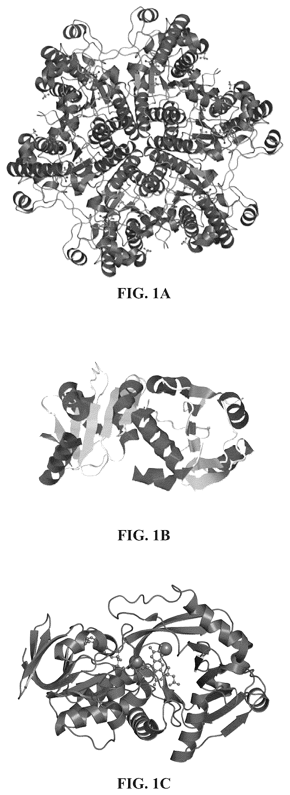 Patent US12139741 — Biocide compositions compatible with enzyme biosensors and methods of use thereof — Figure 1