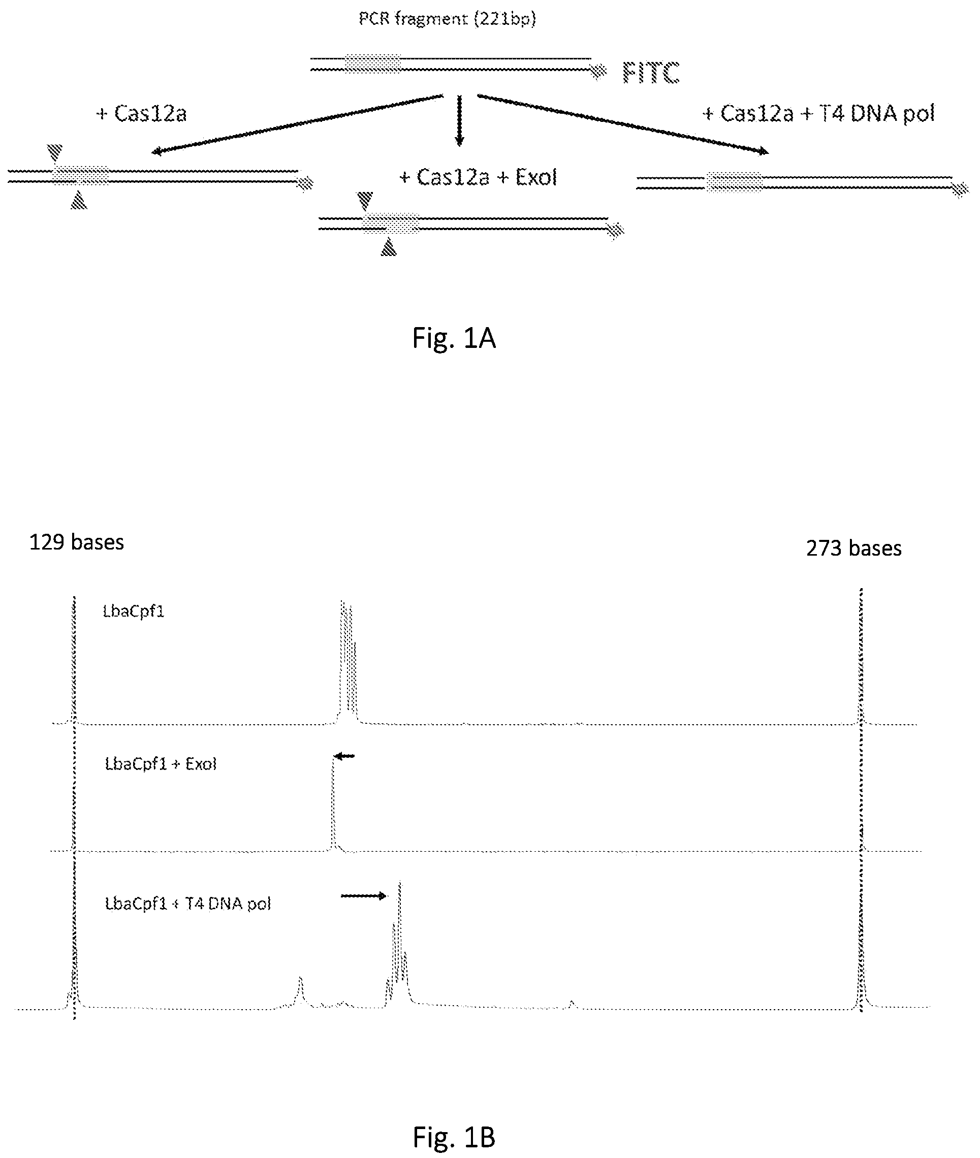 Patent US12139746 Figure 1 – Method of nucleic acid enrichment using site-specific nucleases followed by capture