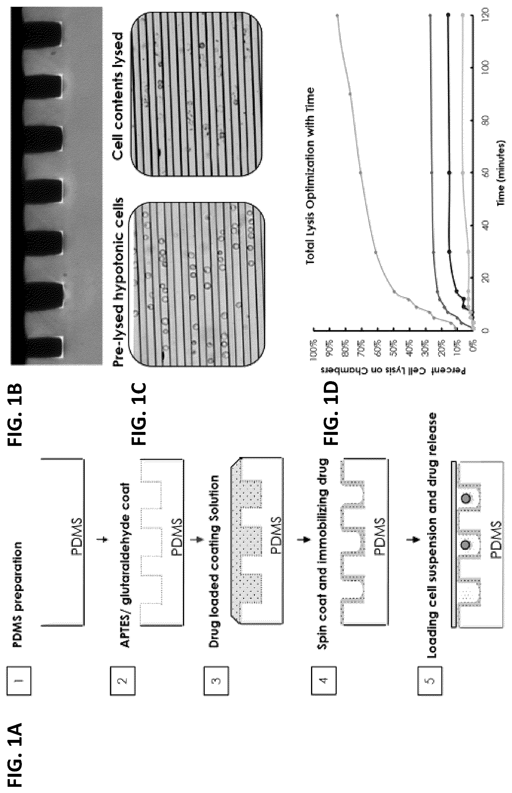 Patent US12139748 — Compositions and methods for the simultaneous genomic, transcriptomic and proteomic analysis of single cells — Figure 1