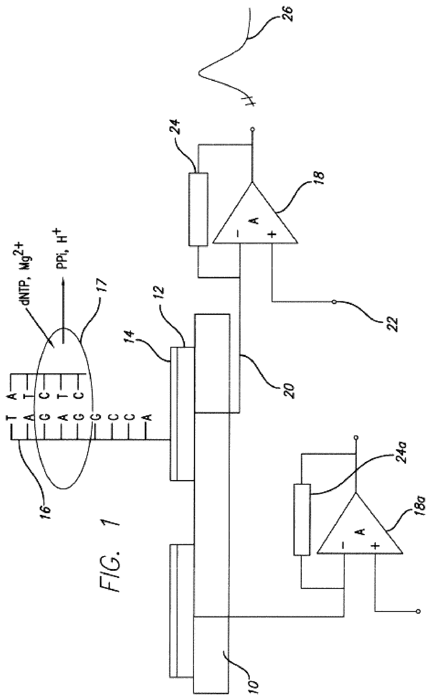 Patent US12139749 — Charge perturbation detection system for DNA and other molecules — Figure 1