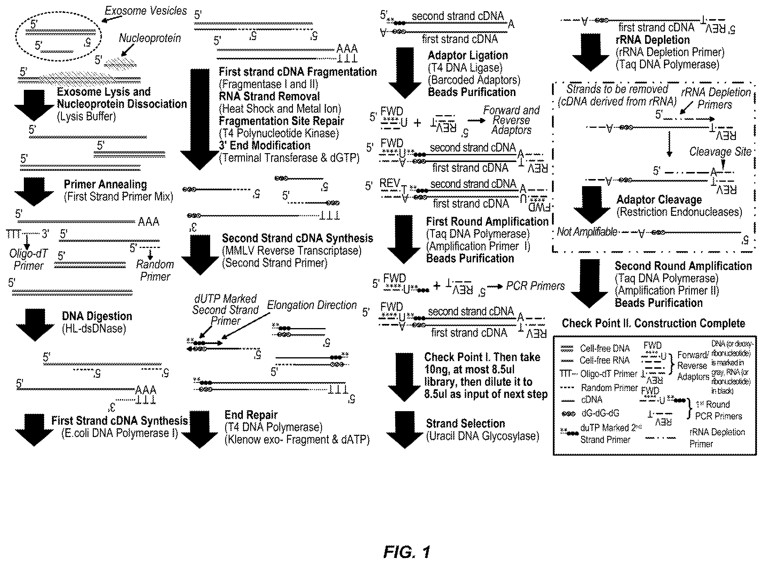 Patent US12139752 — Methods for RNA sequencing — Figure 1