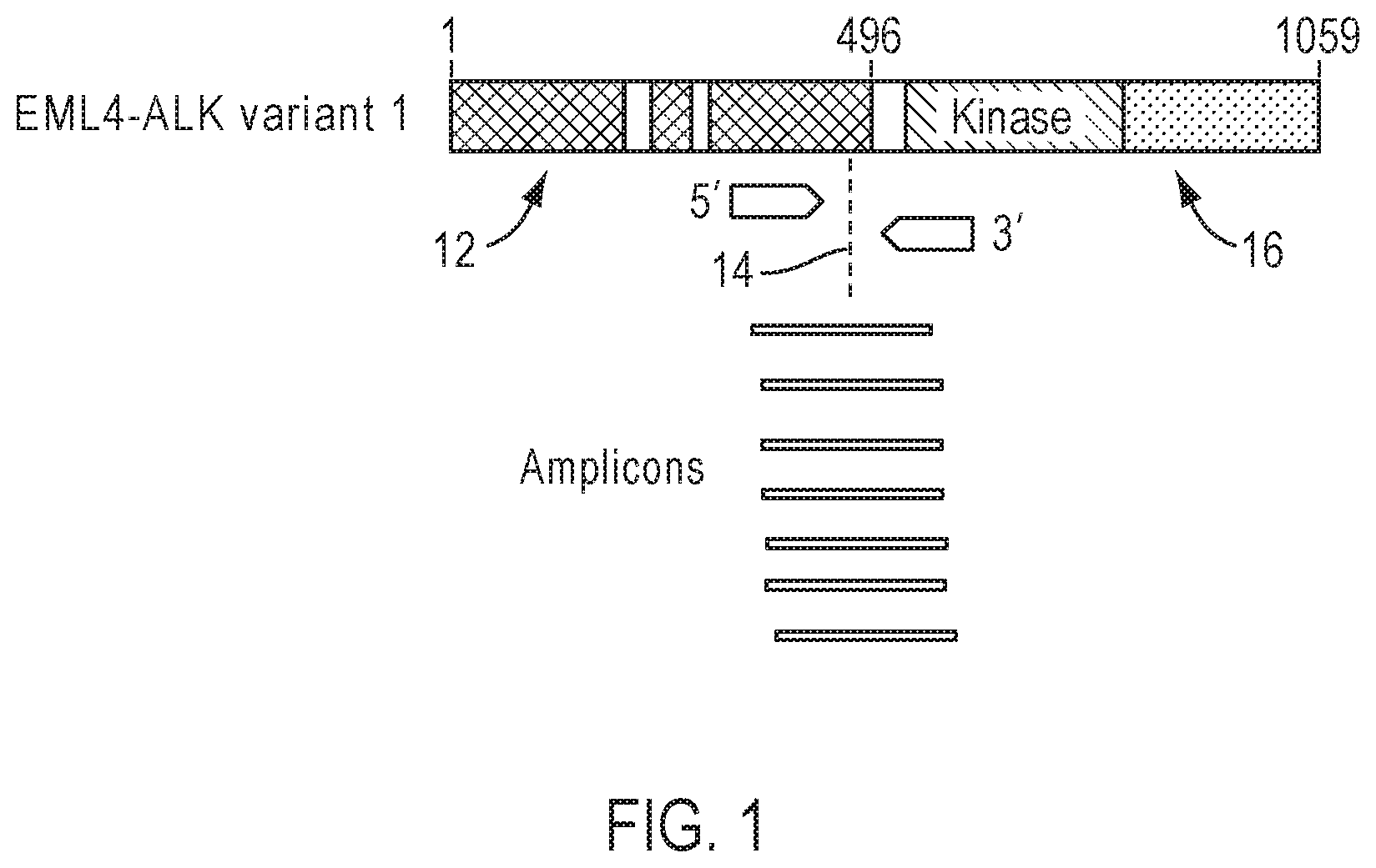 Patent US12139753 — Methods for partner agnostic gene fusion detection — Figure 1