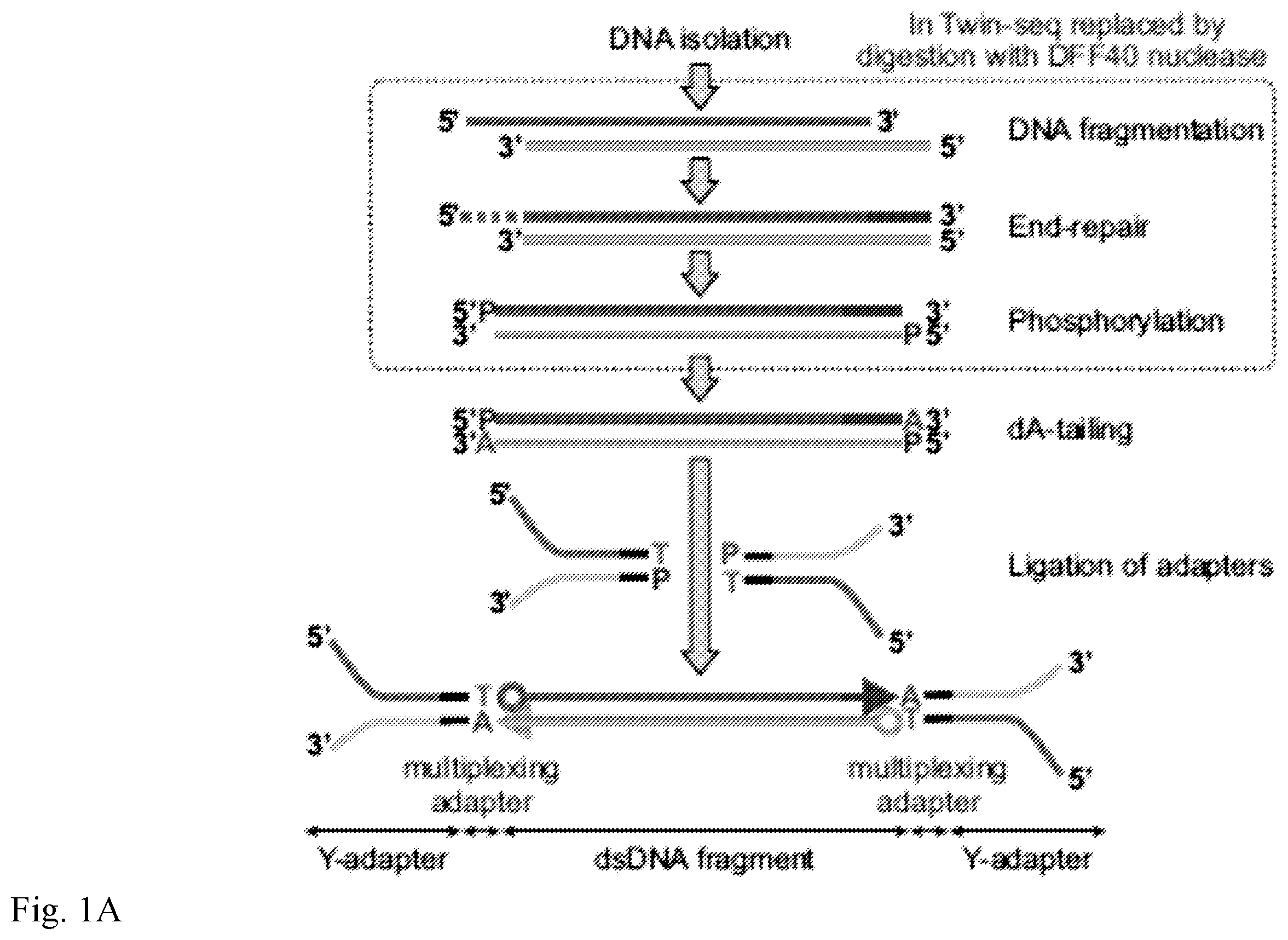 Patent US12139757 — Method for accurate sequencing of DNA — Figure 1