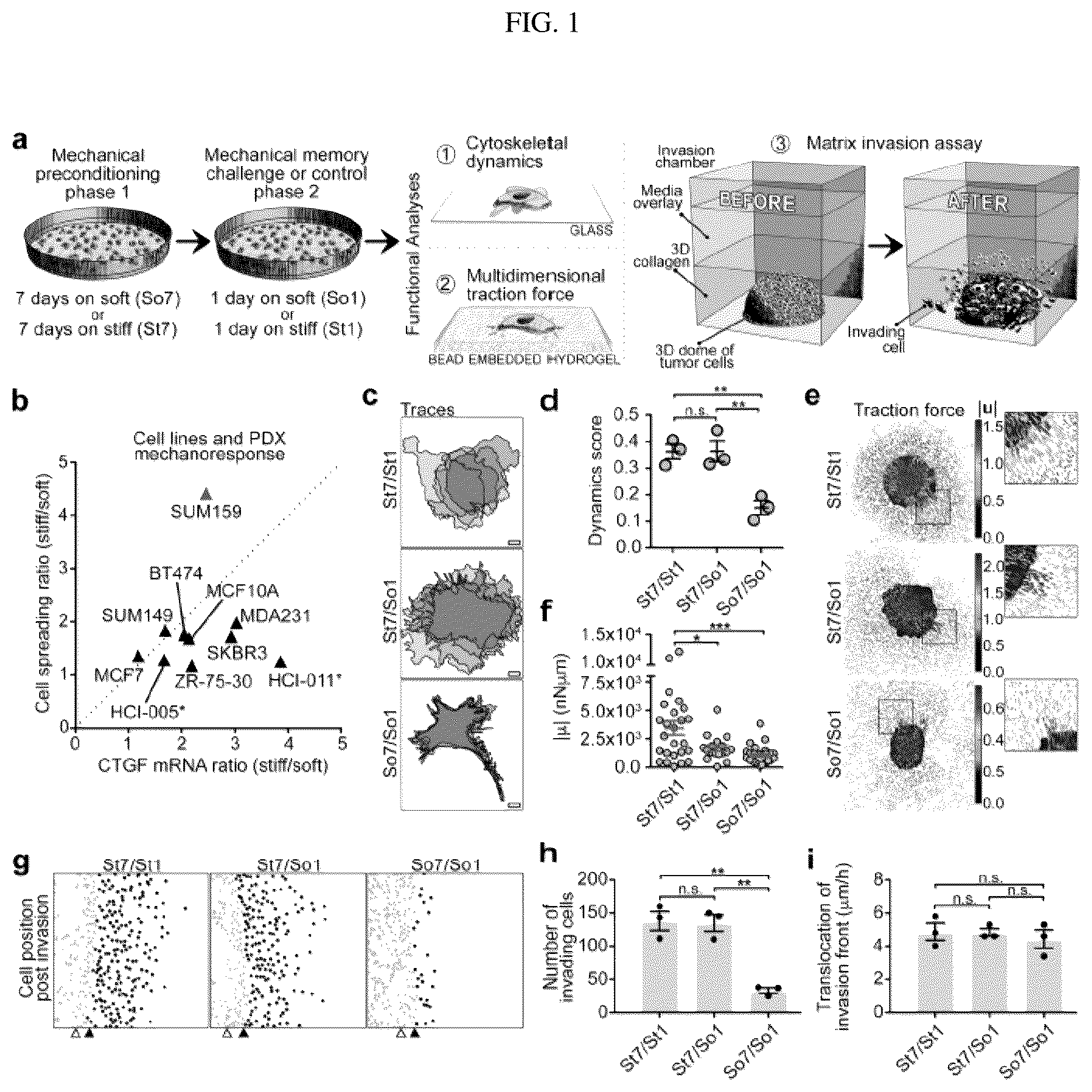 Patent US12139764 — Systems and methods for characterizing and treating breast cancer — Figure 1