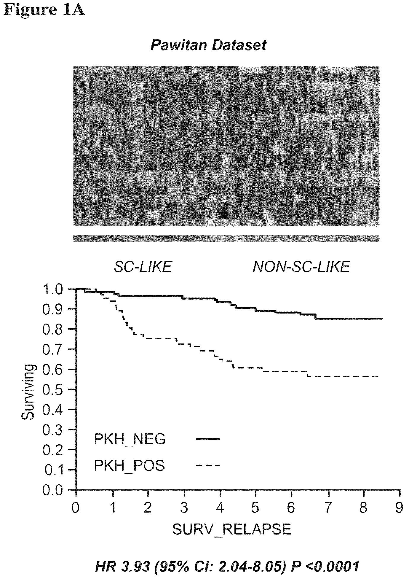 Patent US12139766 — Methods and kits comprising gene signatures for stratifying breast cancer patients — Figure 1