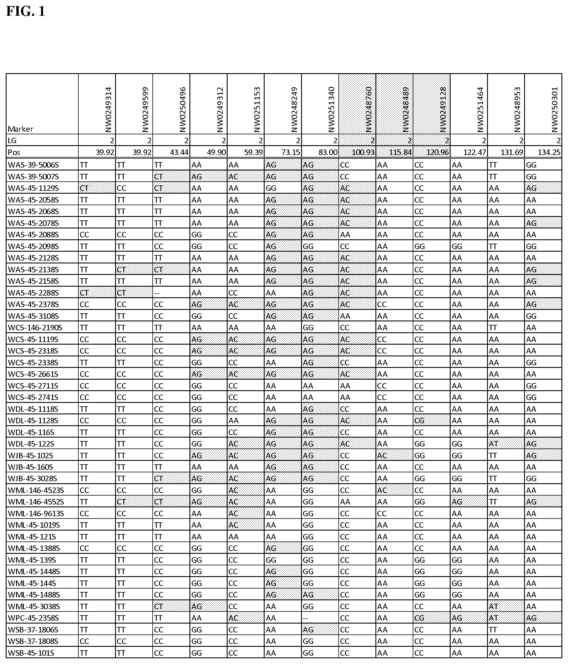 Patent US12139770 — Methods and assays for male sterile watermelon — Figure 1