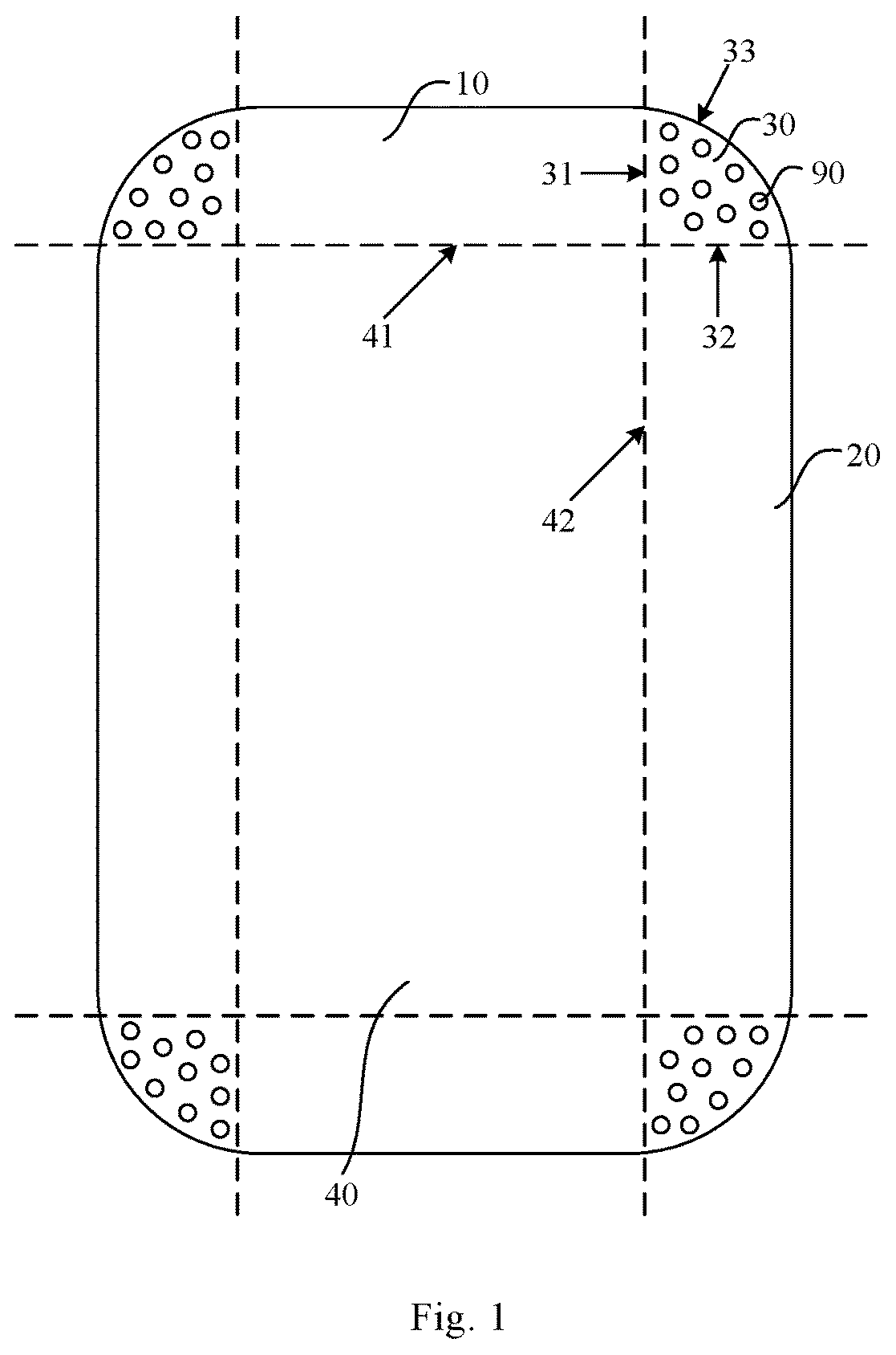 Patent US12147269 — Back film and display device — Figure 1