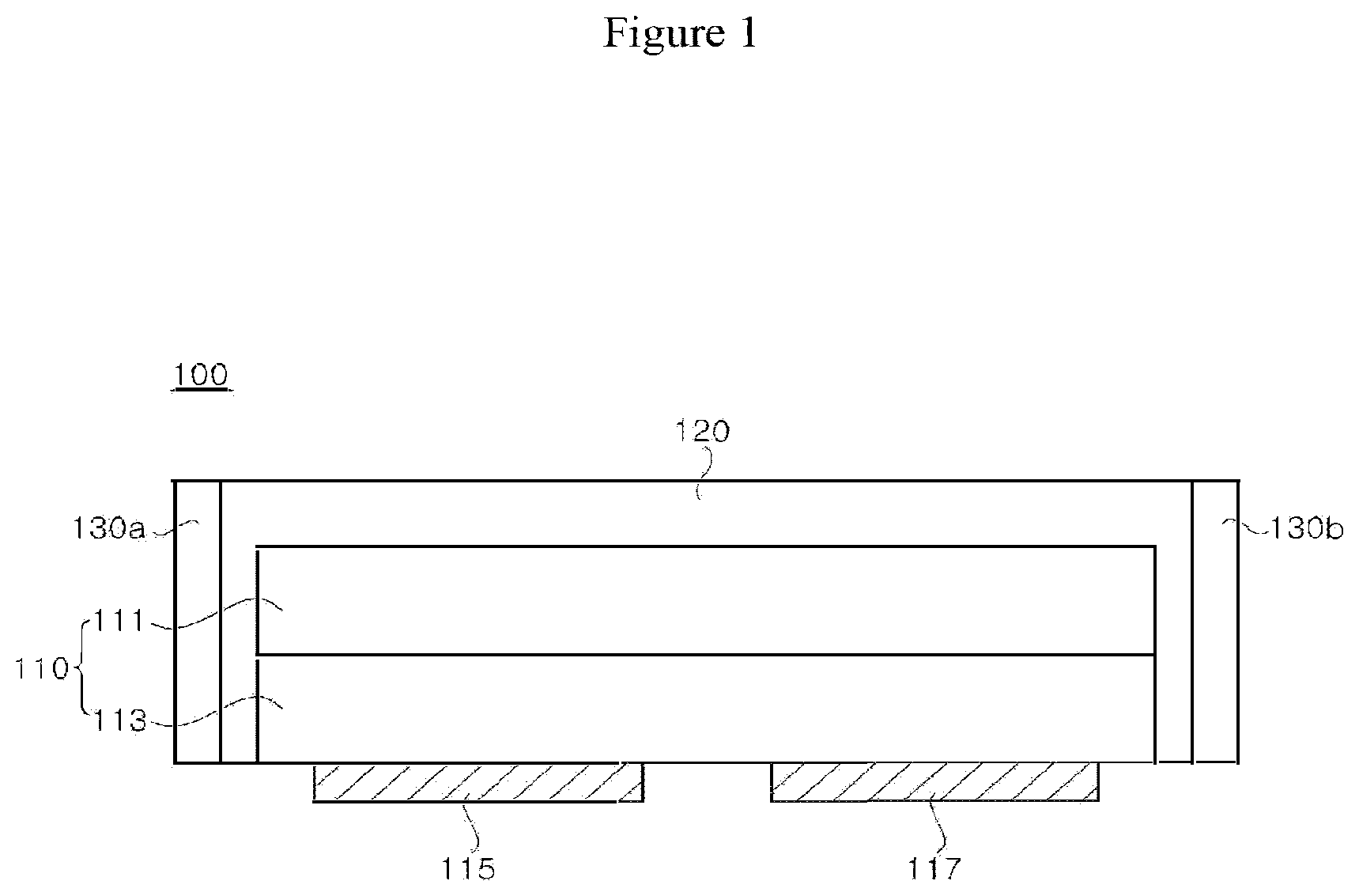 Patent US12155017 — Light source module and backlight unit having the same — Figure 1