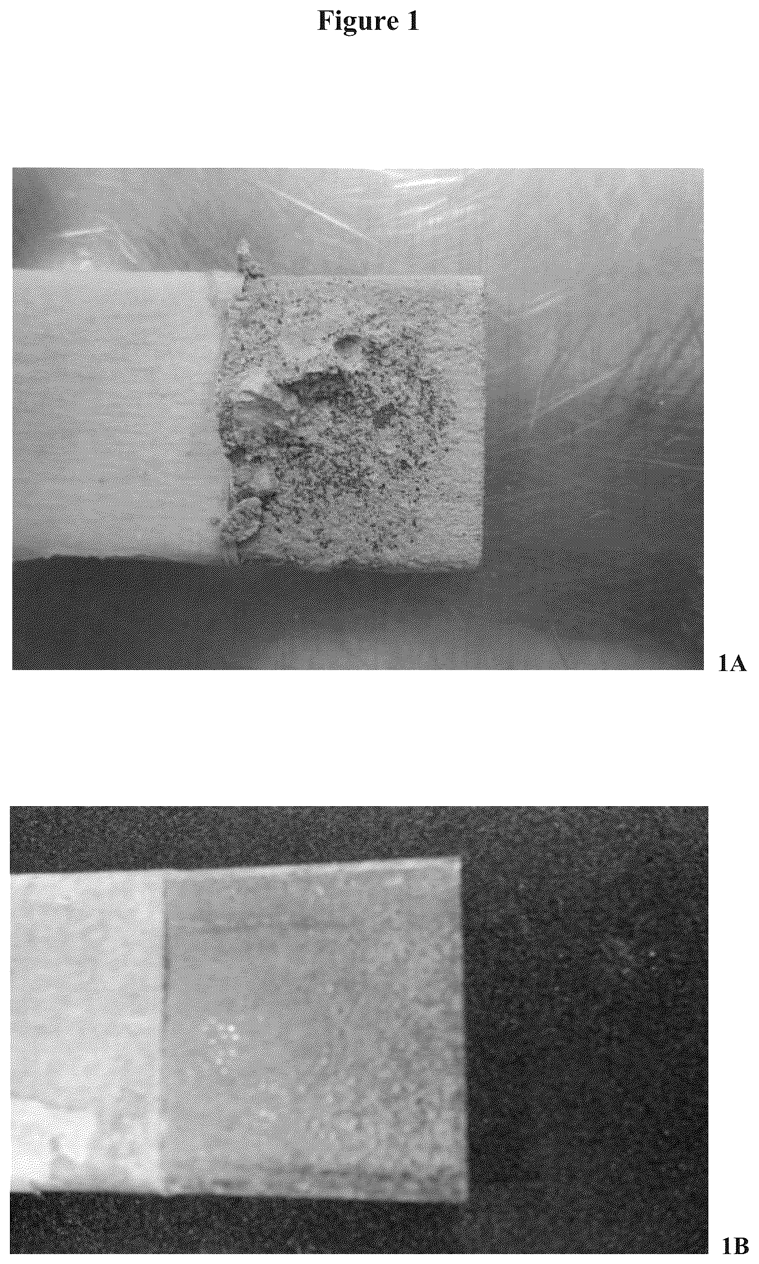 Patent US12157144 — High-performance textured coating — Figure 1