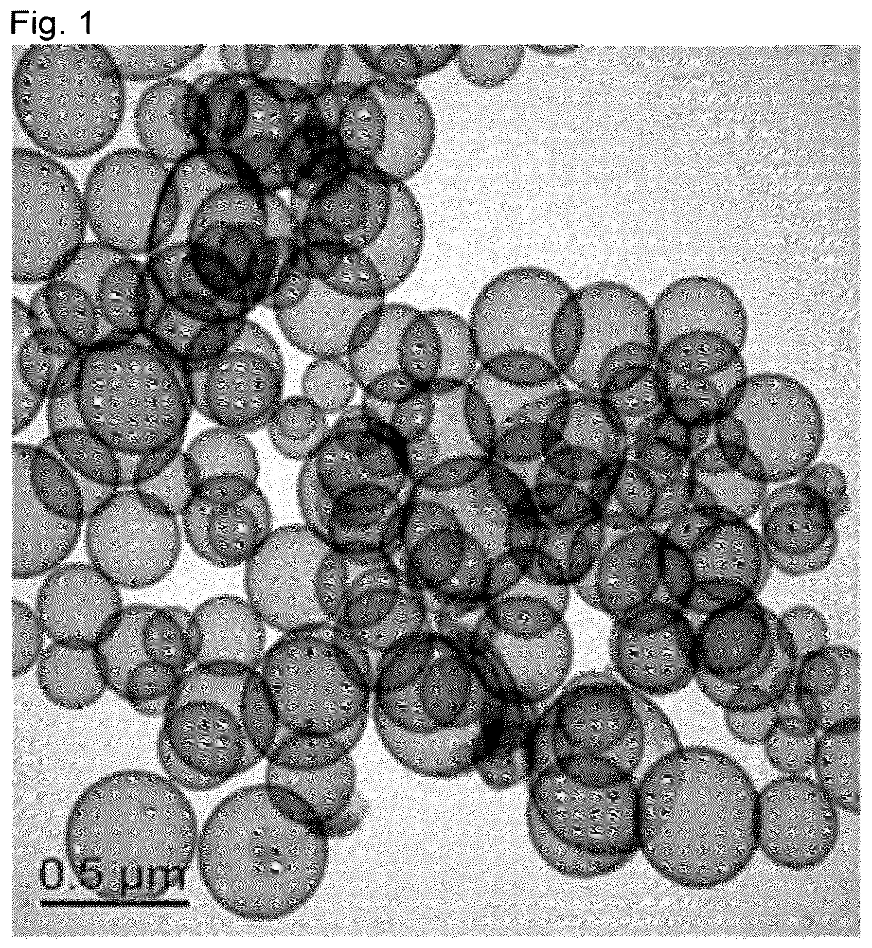 Patent US12157673 — Method for producing hollow silica particles — Figure 1