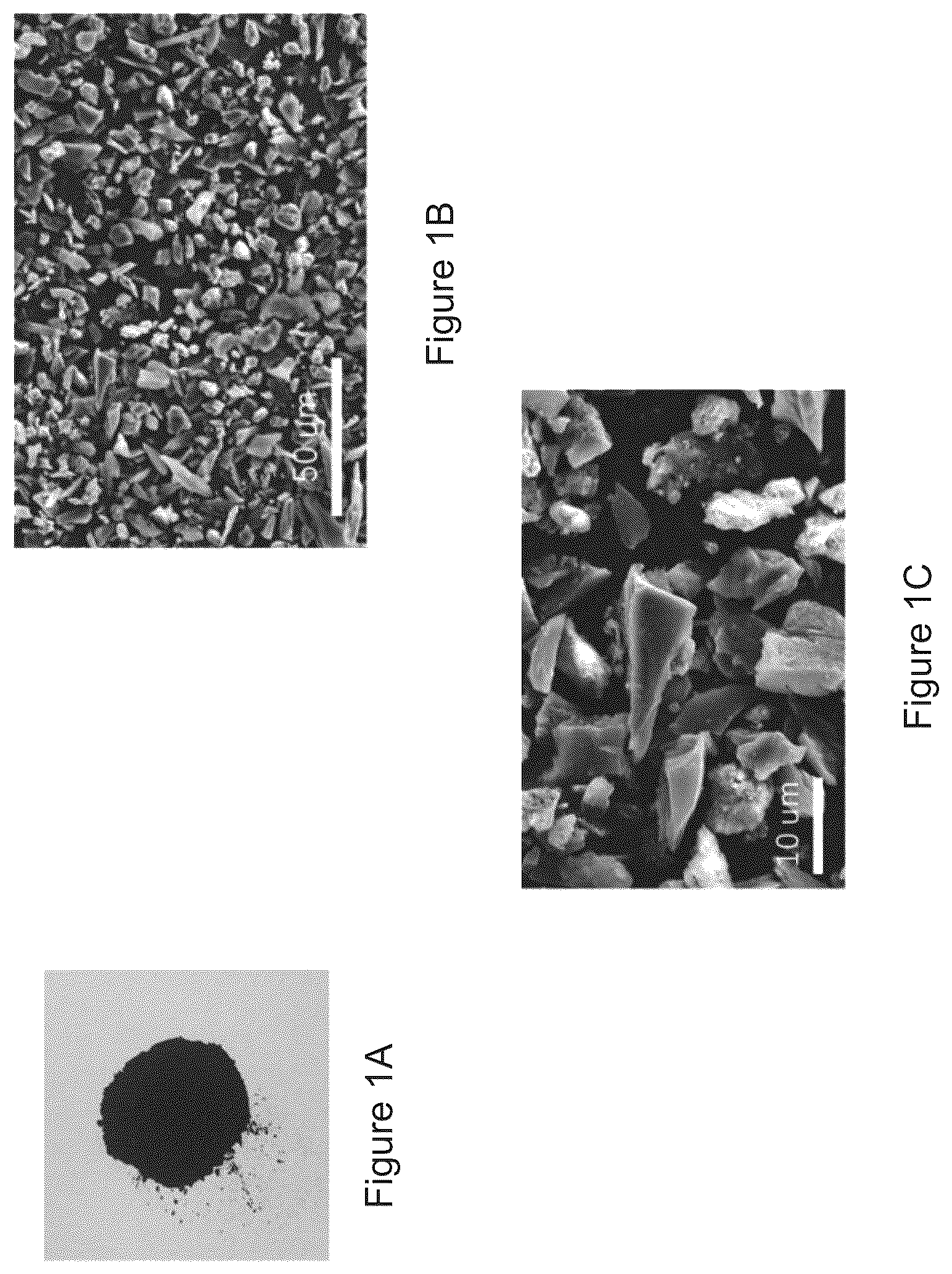 Patent US12157683 — Composite material and a water purifying system — Figure 1