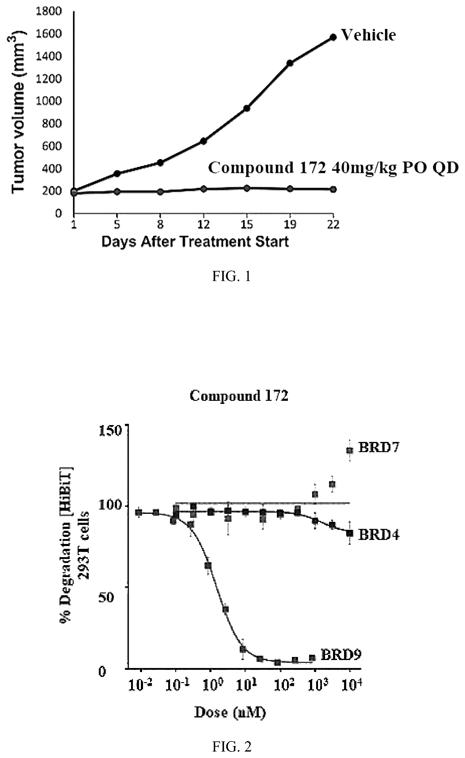Patent US12157735 — Compounds for targeted degradation of BRD9 — Figure 1