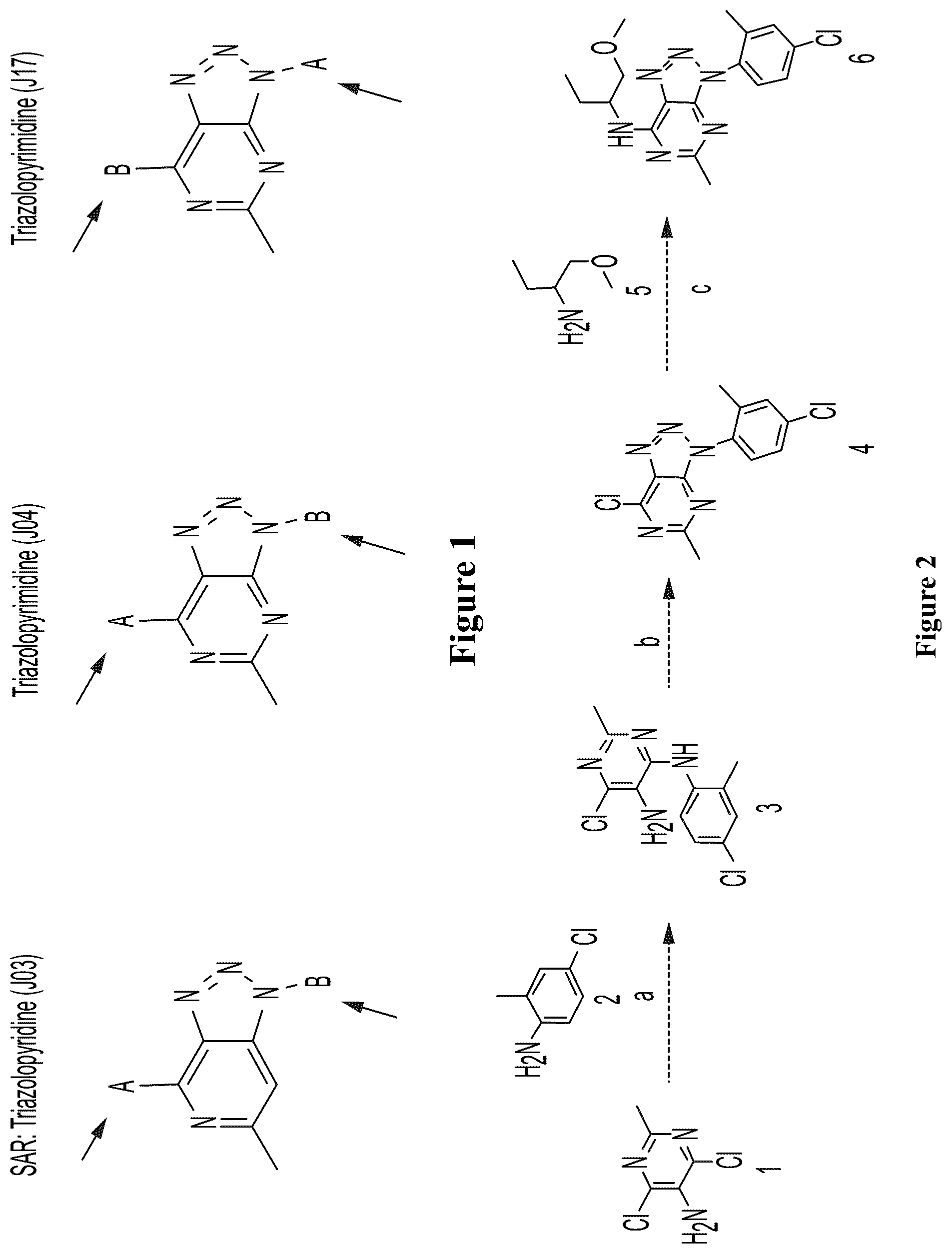 Patent US12157740 — Triazolopyridines and triazolopyrimidines that lower stress-induced p-tau — Figure 1