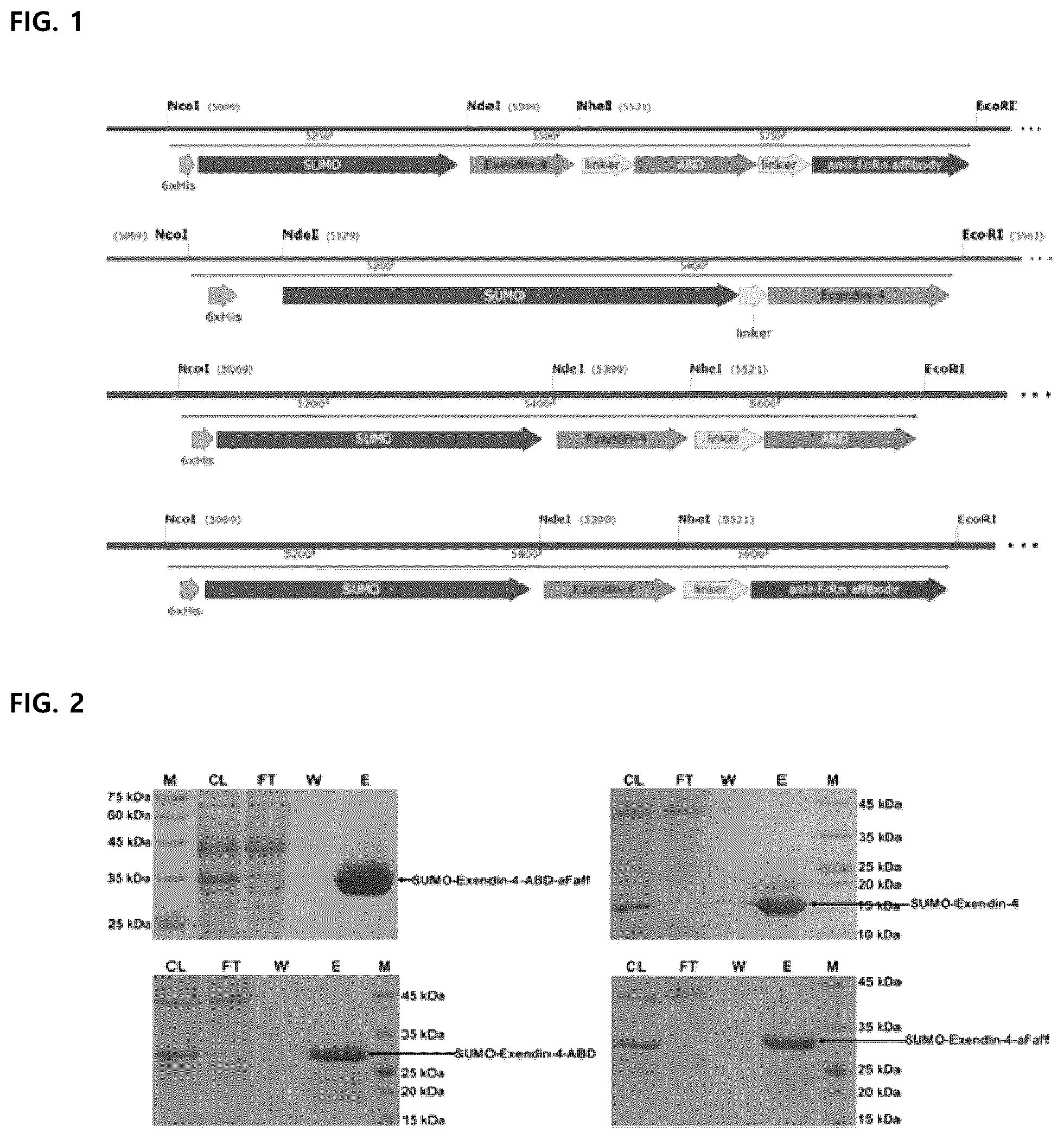 Patent US12157761 — Long-acting exendin-4 and use thereof — Figure 1
