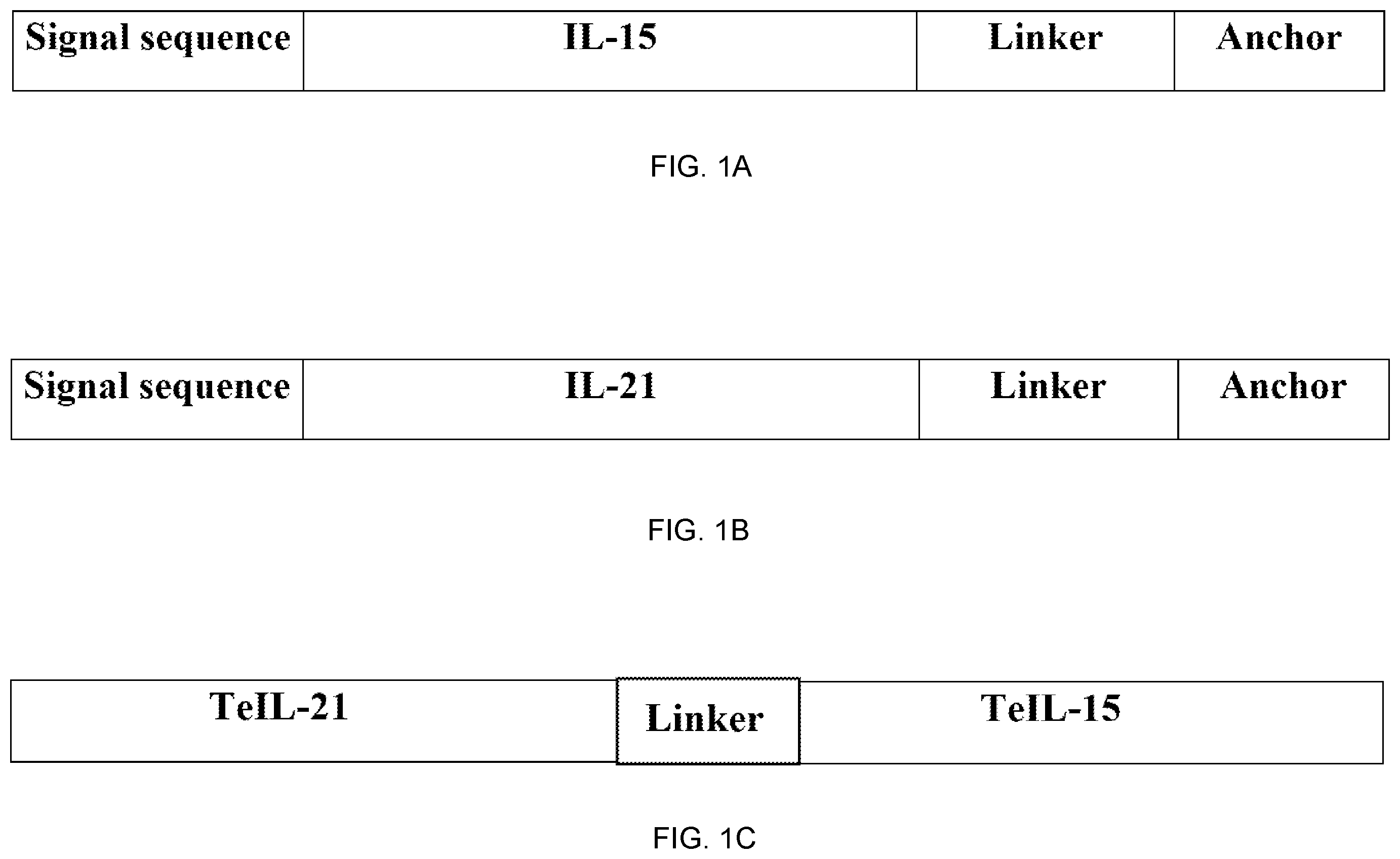Patent US12157762 — Tethered interleukin-15 and interleukin-21 — Figure 1
