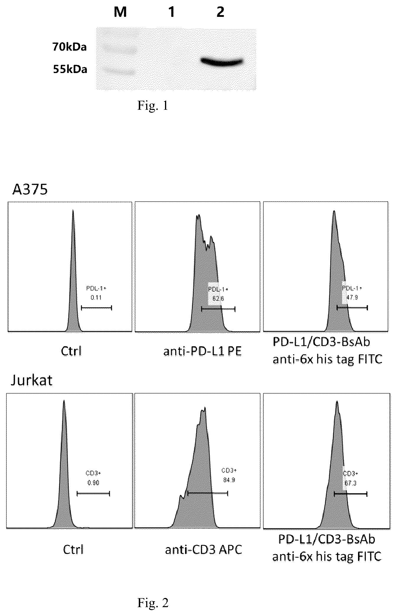 Patent US12157769 — Virus composition — Figure 1