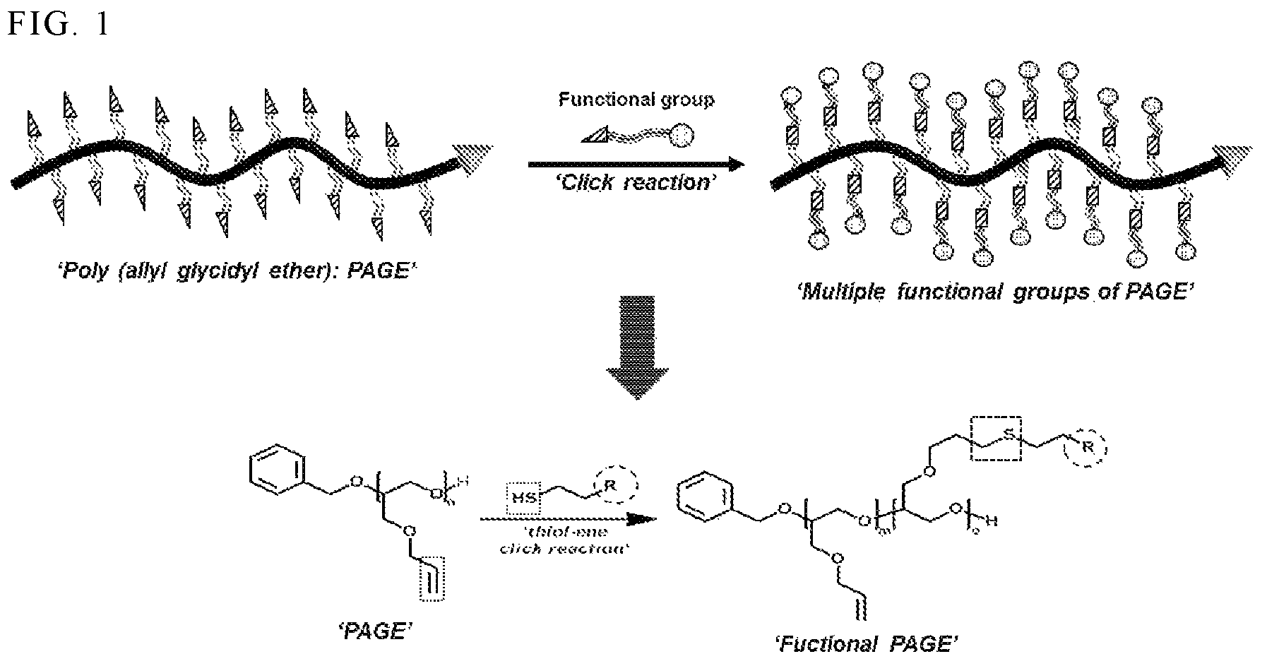 Patent US12157785 Figure 1 – Poly(allyl glycidyl ether)-based redox polymer and electrochemical biosensor using same