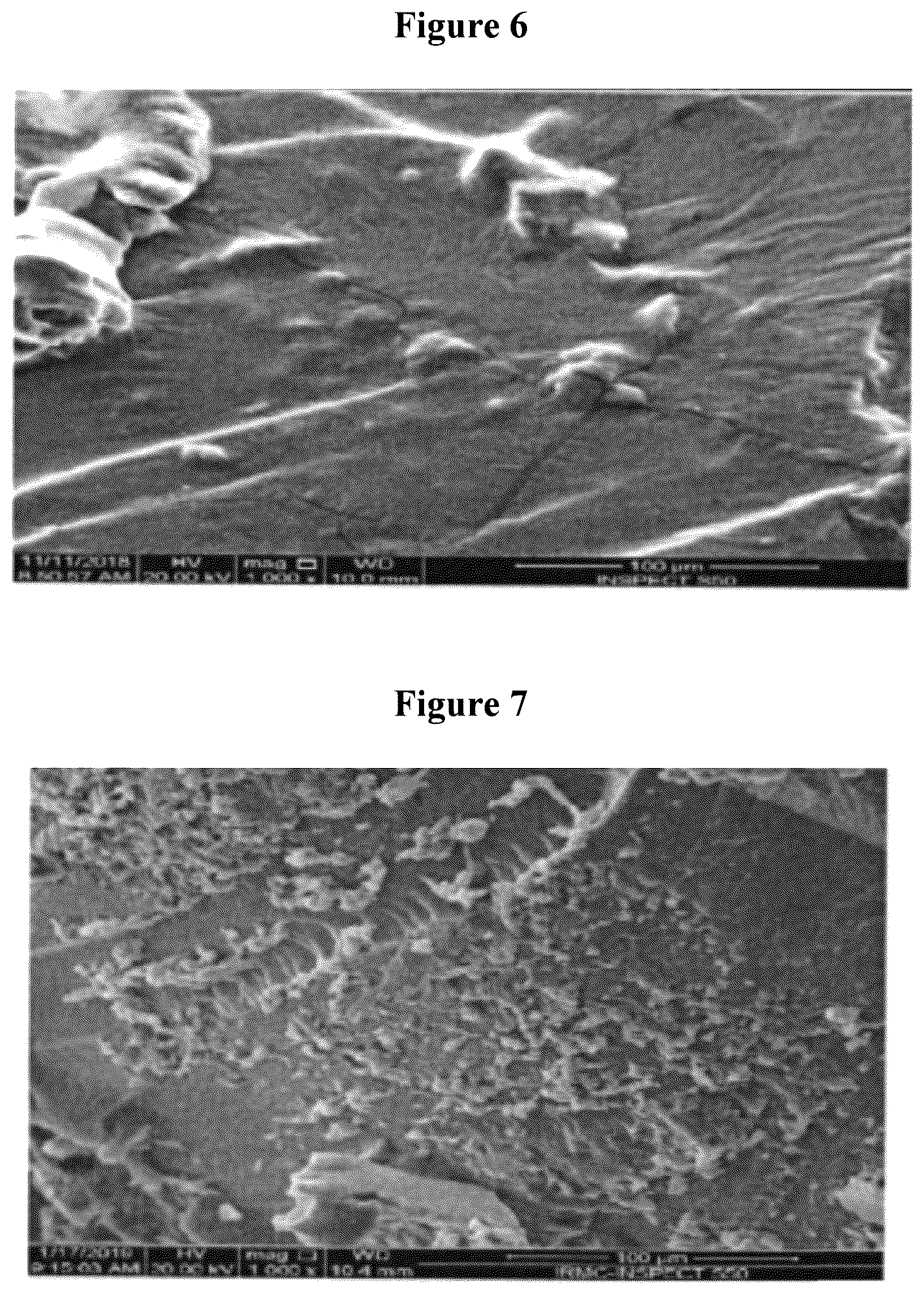 Patent US12157788 Figure 5 – Phosphonic hydrogel synthesis method