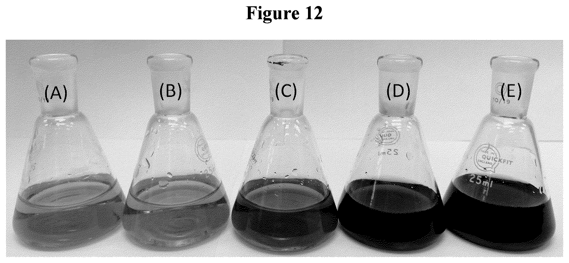 Patent US12157788 Figure 8 – Phosphonic hydrogel synthesis method