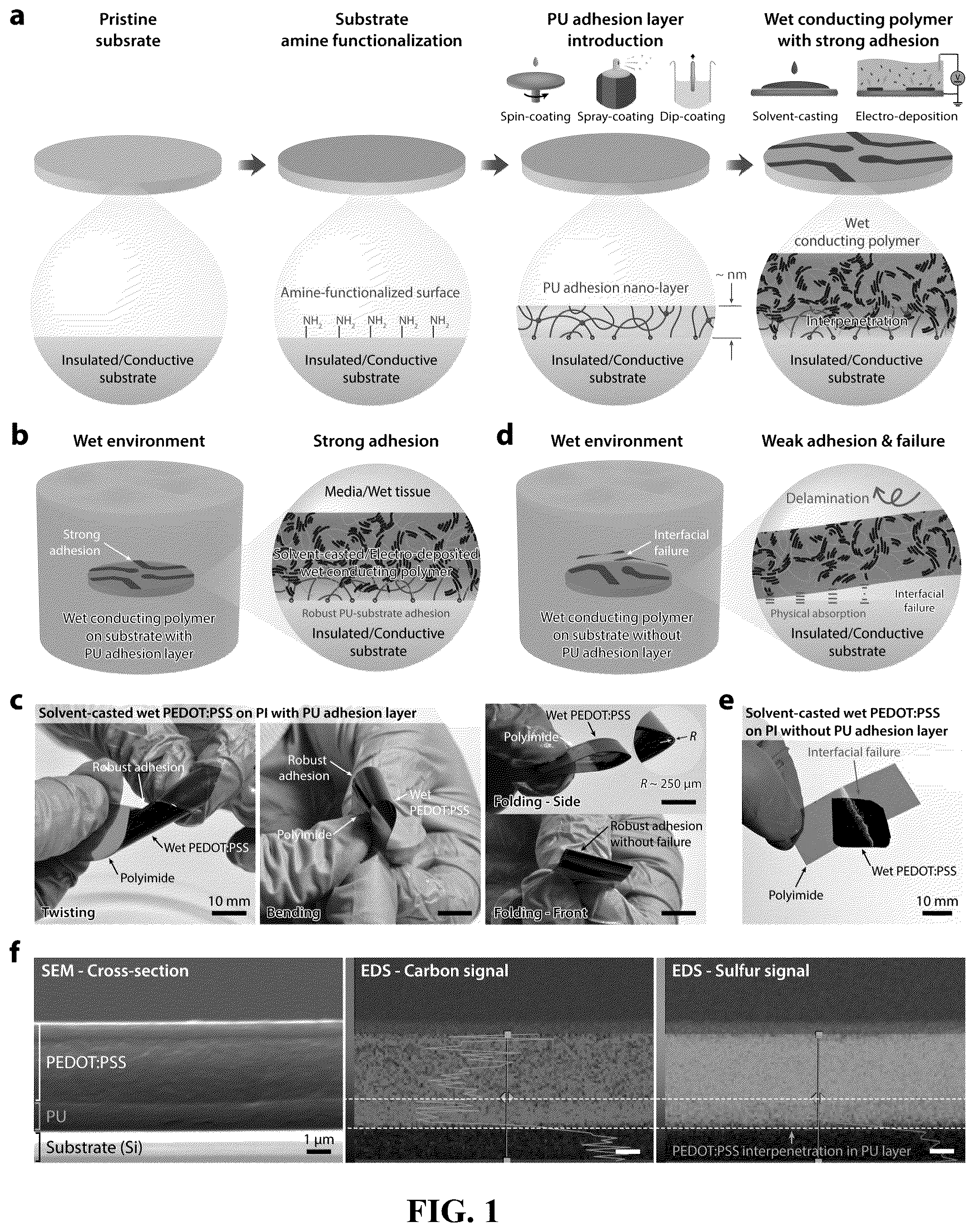Patent US12157801 — Strong adhesion of conducting polymers on diverse substrates — Figure 1